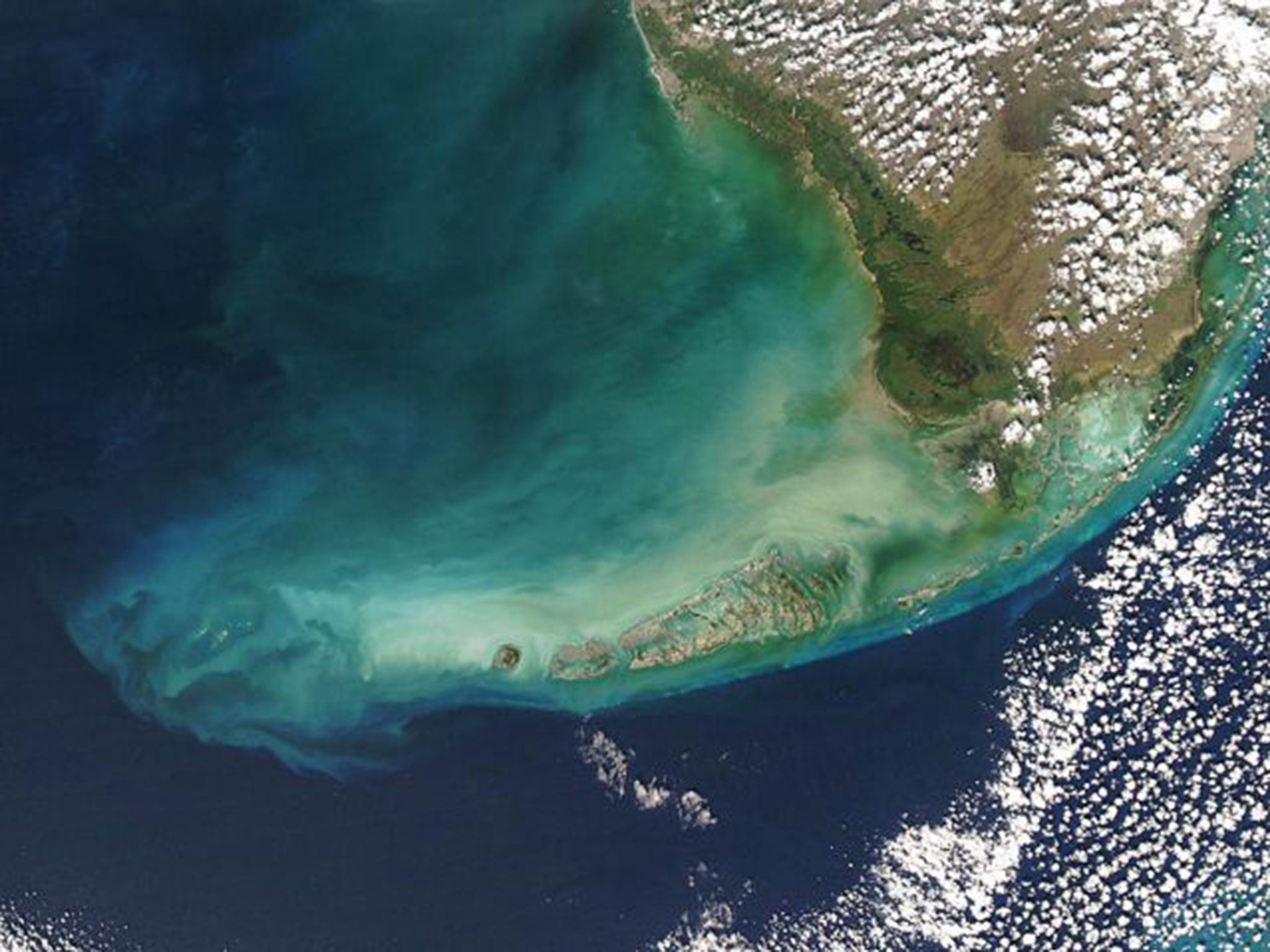 Seasick: a huge bloom of algae discolours the water in the Gulf of Mexico, off the coast of Florida, USA