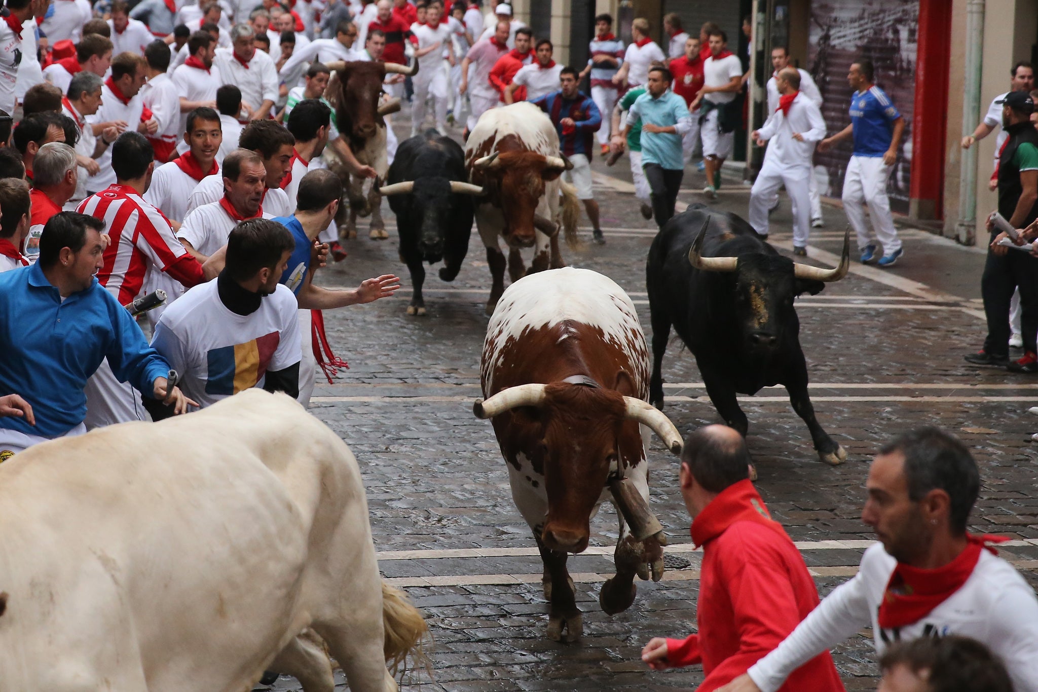 STA Travel has discontinued its tours to the Running of the Bulls