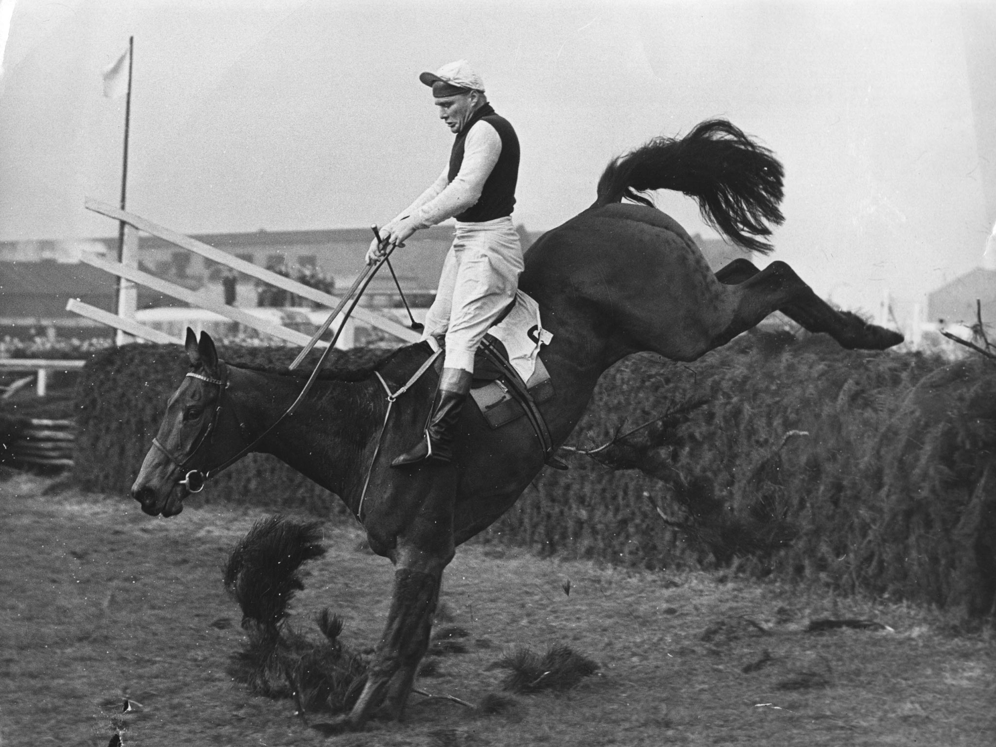 Despite stumbling at the second-last fence, Oxo, ridden by Michael Scudamore