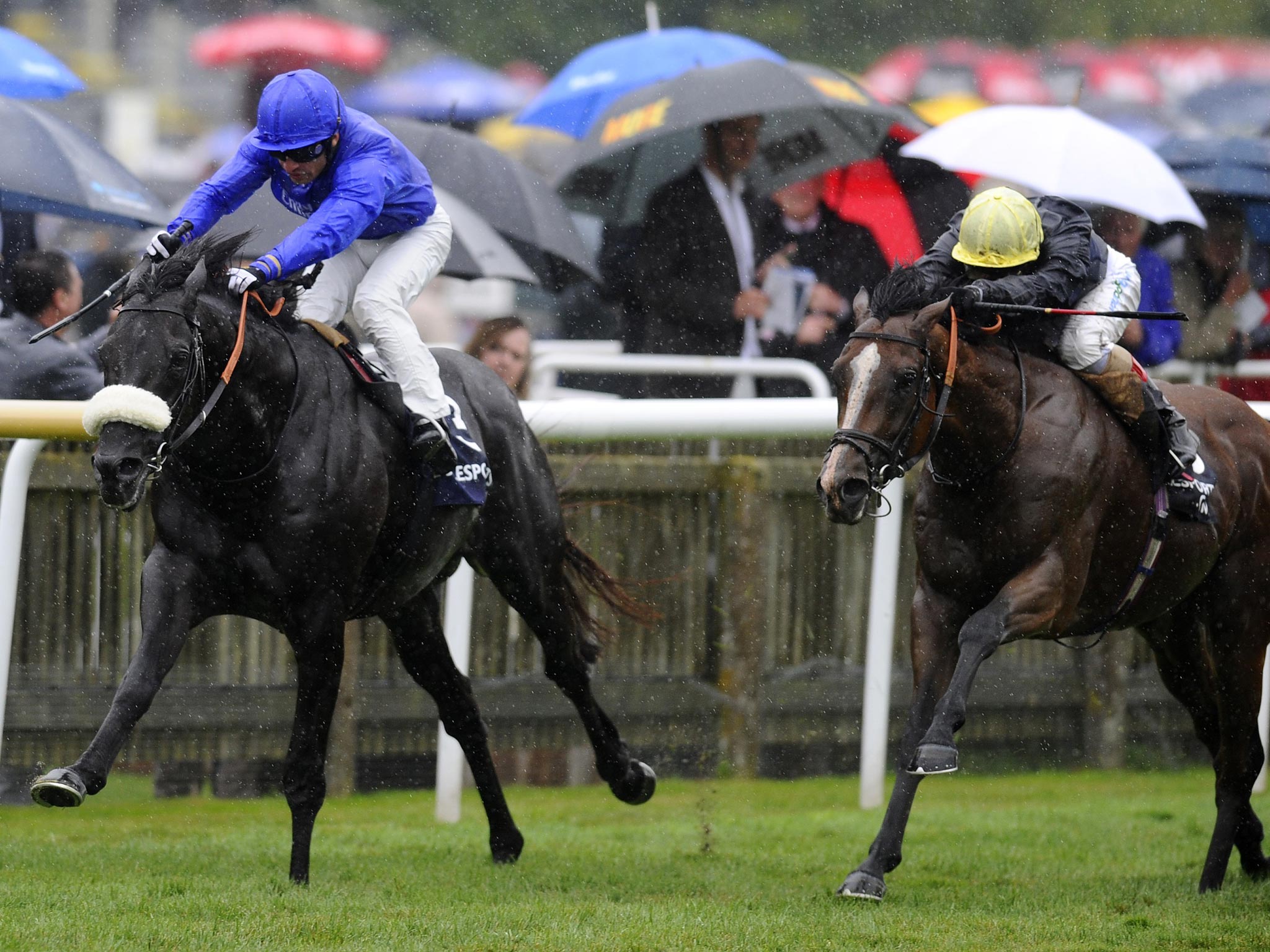 Cavalryman (left) romps to Princess of Wales’s Stakes glory yesterday