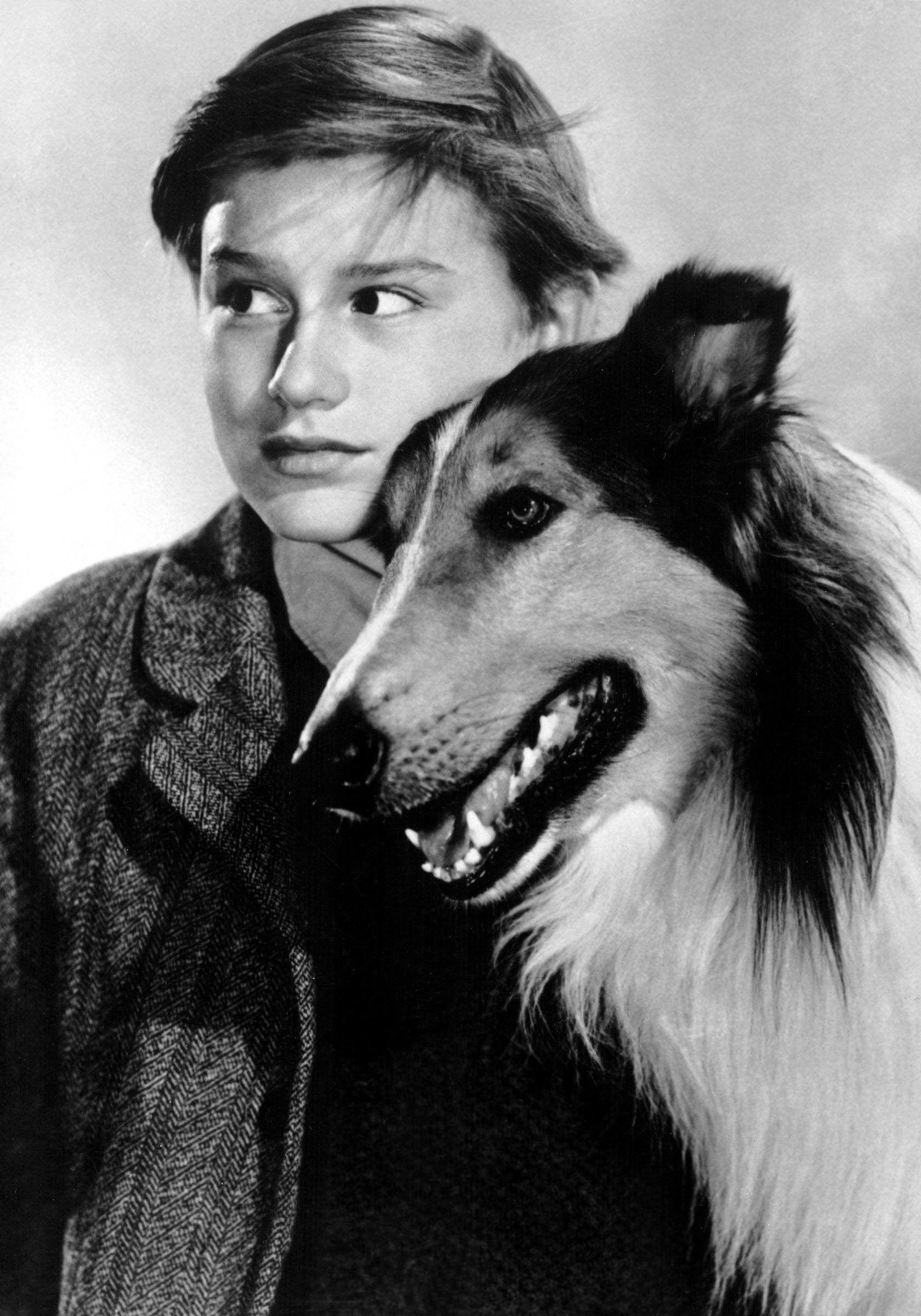 Dogs in films: Lassie