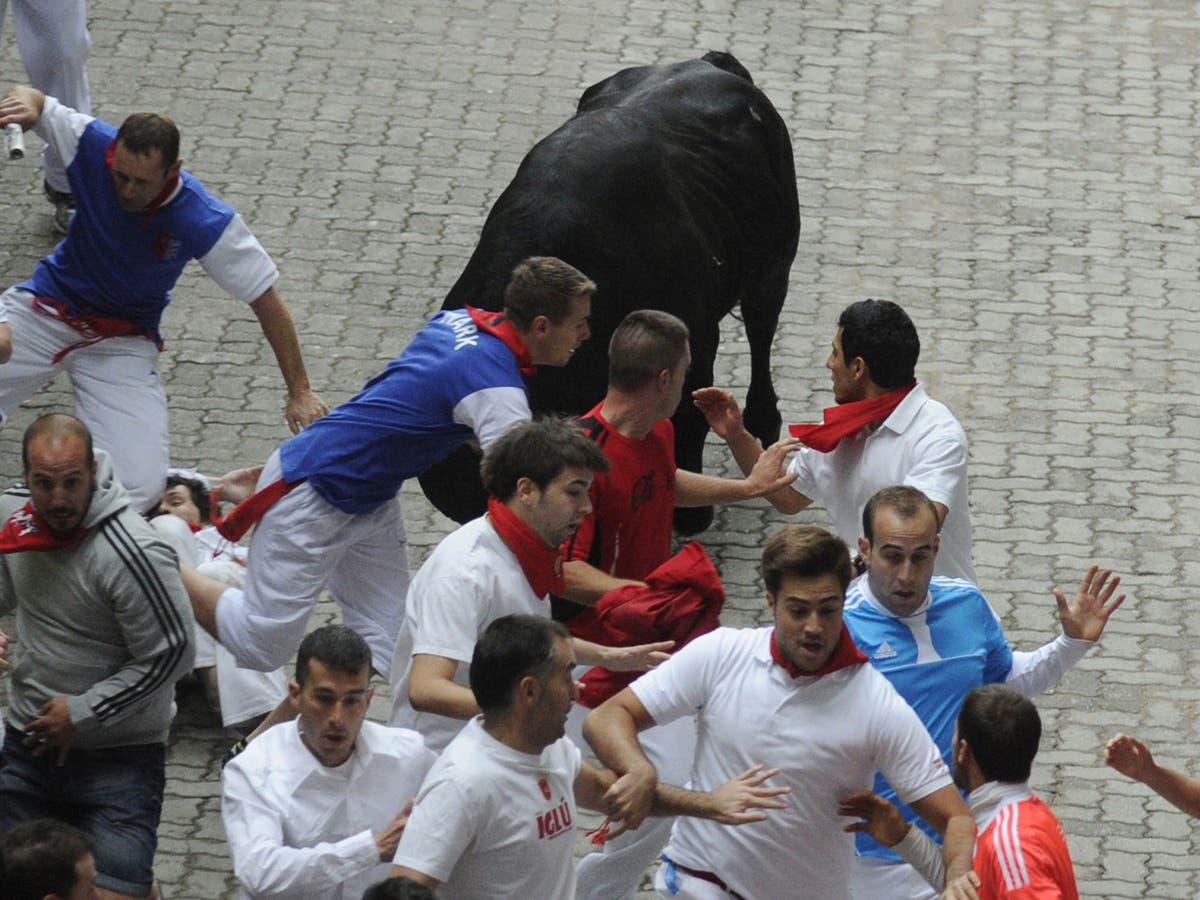 Pamplona bull run: Author of 'How to Survive the Bulls of Pamplona ...