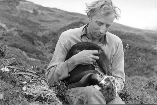 Gavin Maxwell in Sandaig with one of his pet otters
