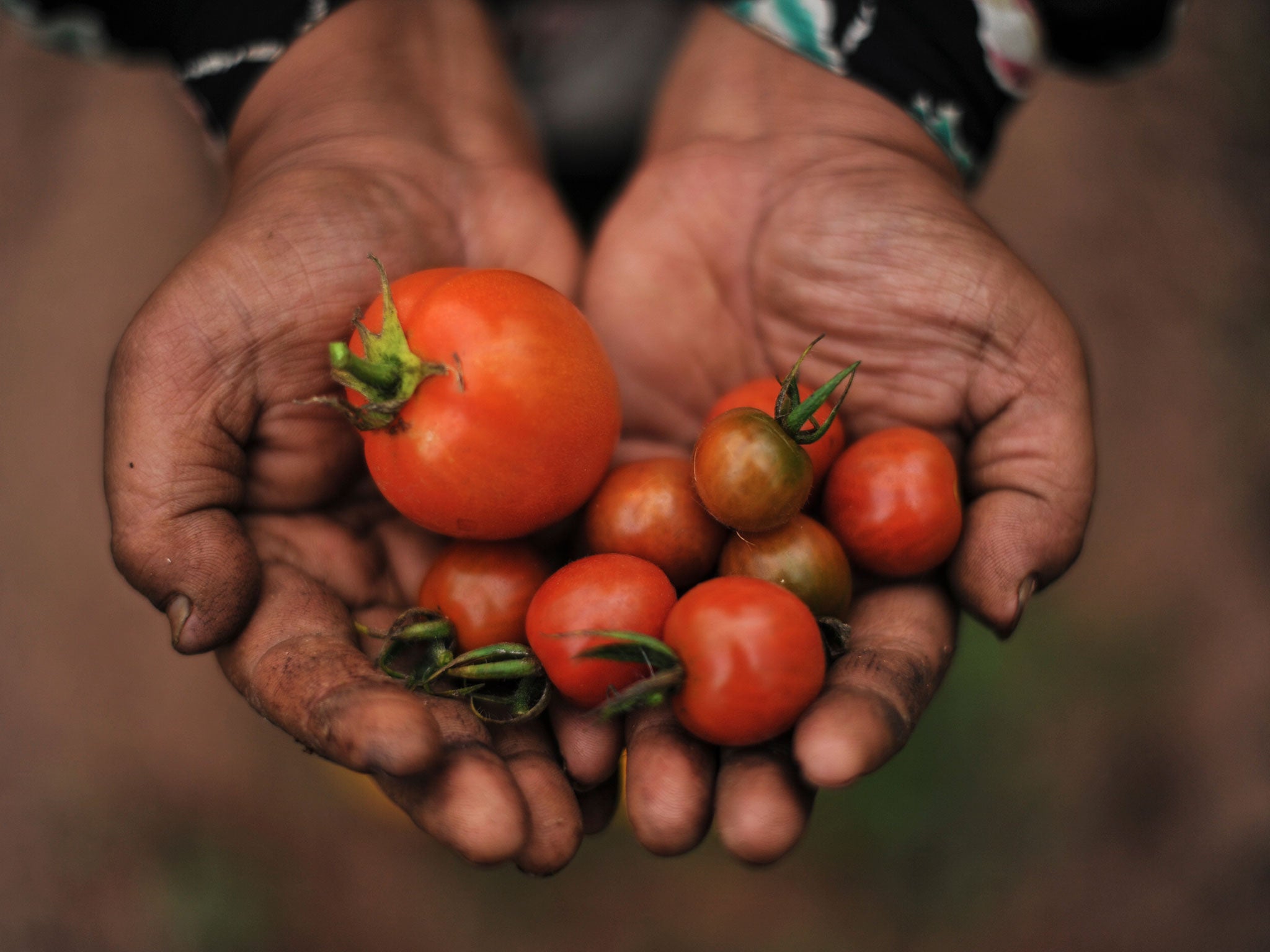 If we don't care care of our soil, we'll struggle to eat, a charity has warned