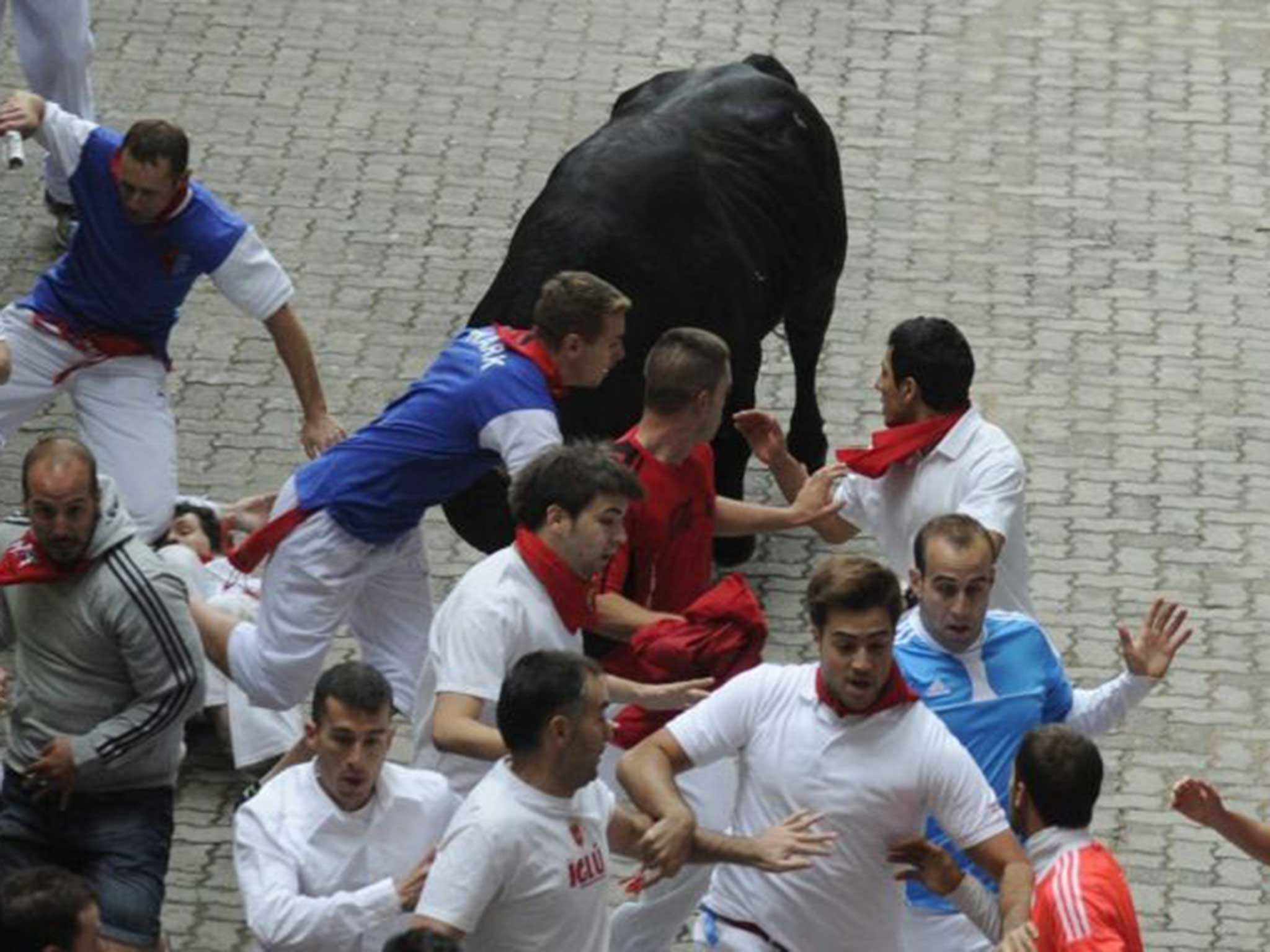 Caught by the bull