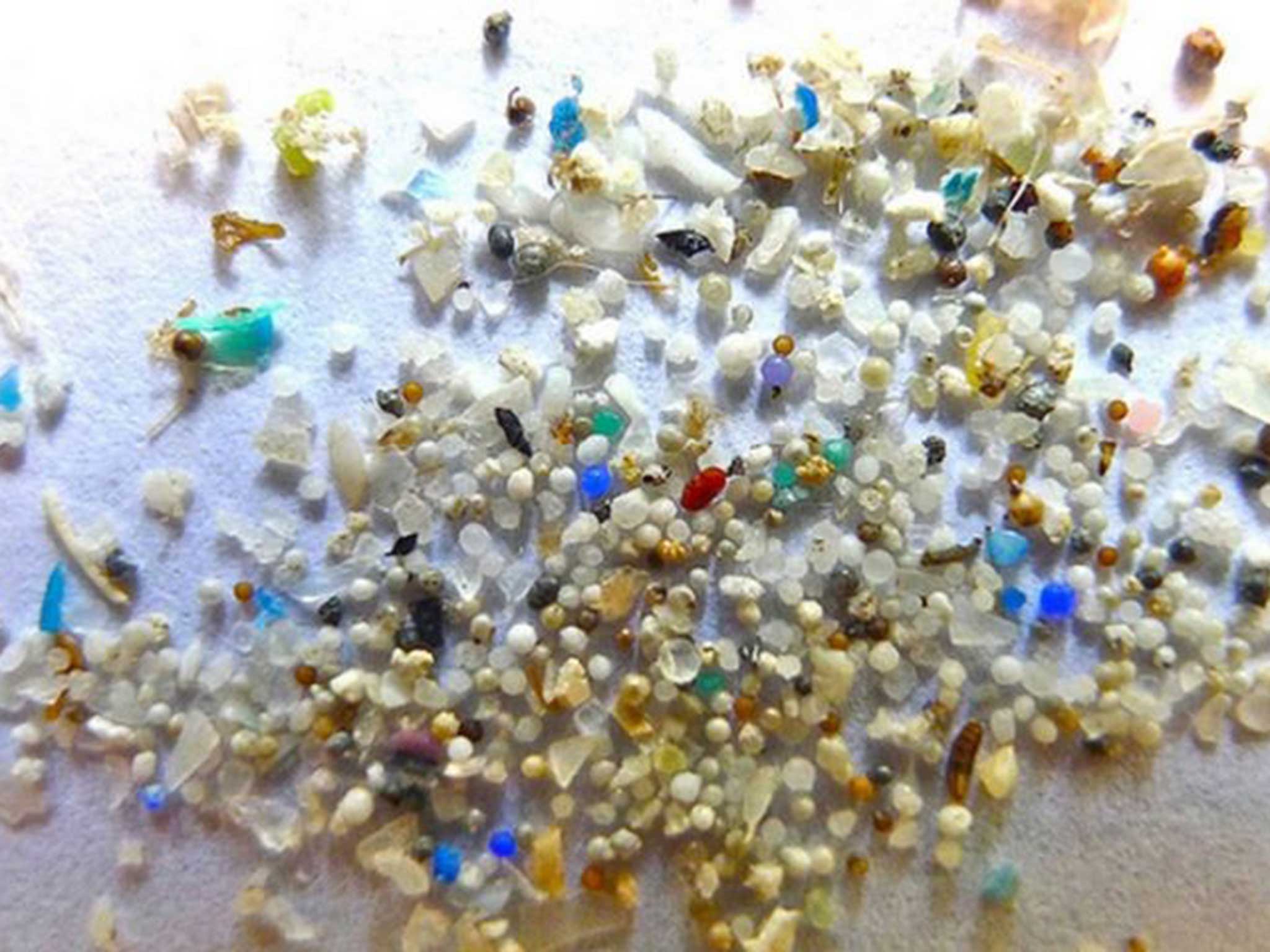 Plastic beads are often invisible to the naked eye and can enter the food chain via fish