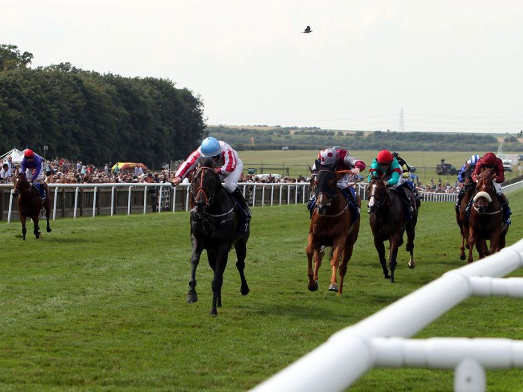 Feel the noise: Slade Power, ridden by Wayne Lordan, lands the July Cup