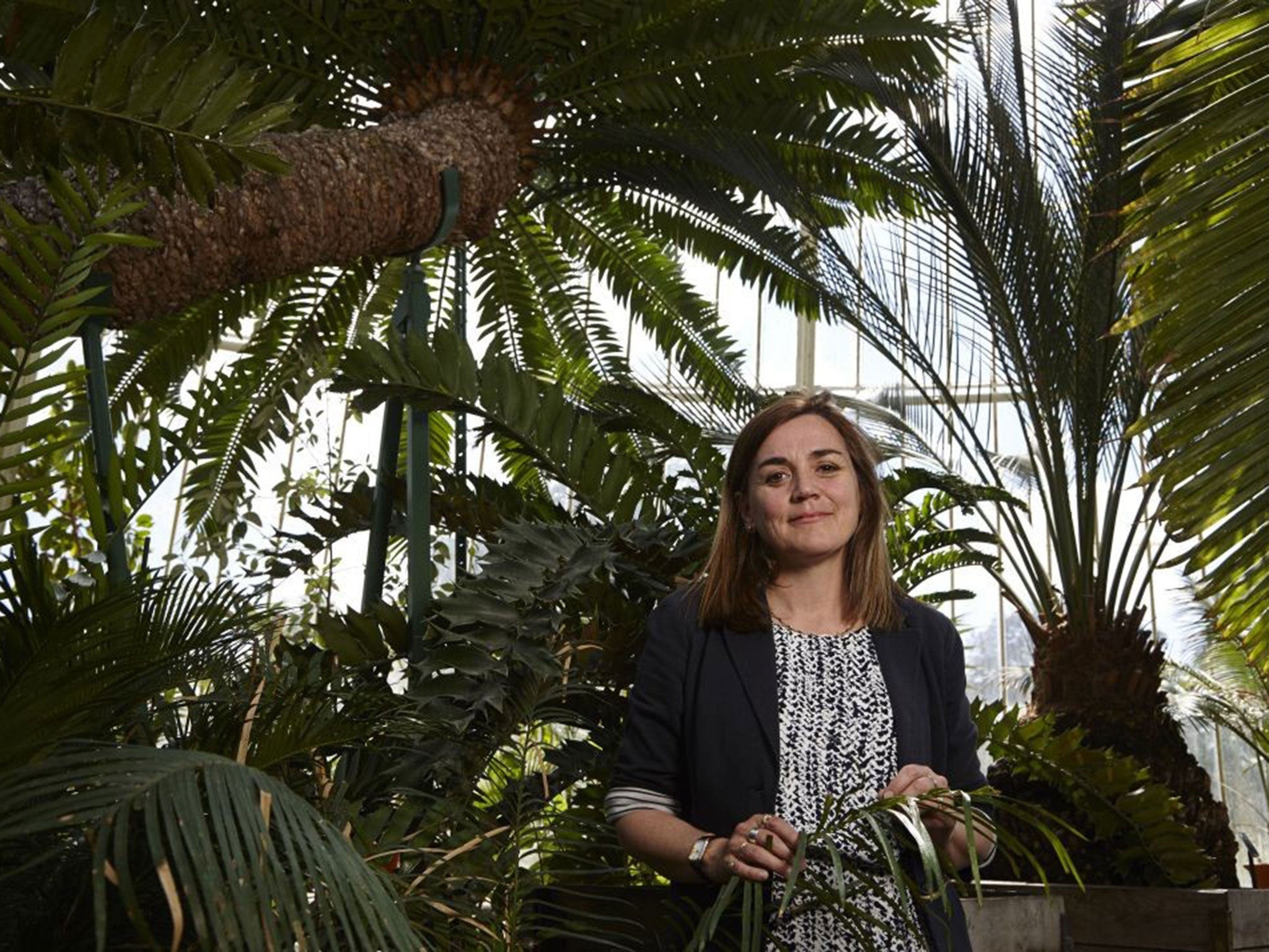 Professor Kathy Willis will showcase plants from the Royal Botanic Gardens at Kew