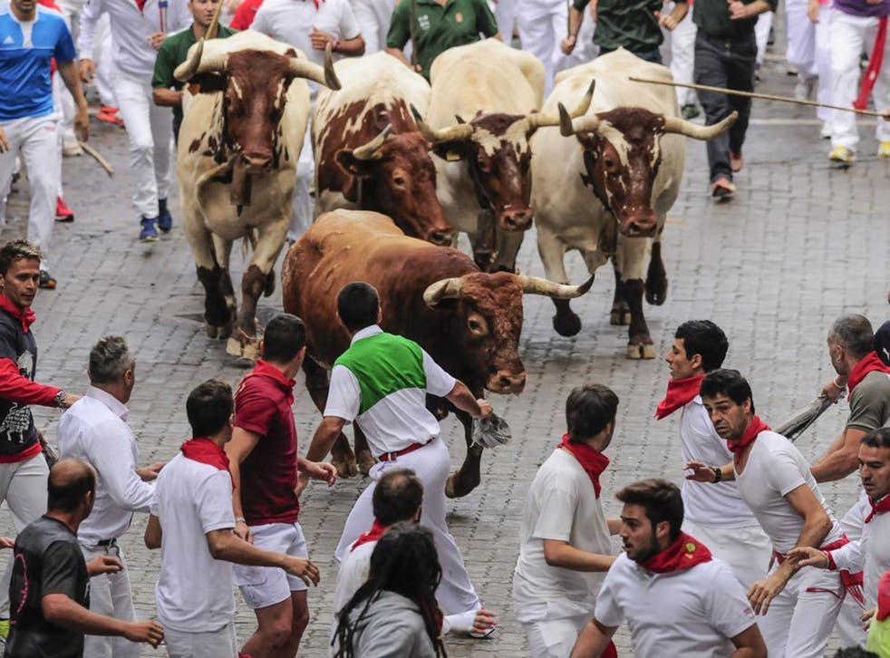 Runners run ahead of a ''Miura''  fighting bull which tossed some runners during the running of the bulls, at the San Fermin festival, in Pamplona, Spain, on Monday, 14 July, 2014