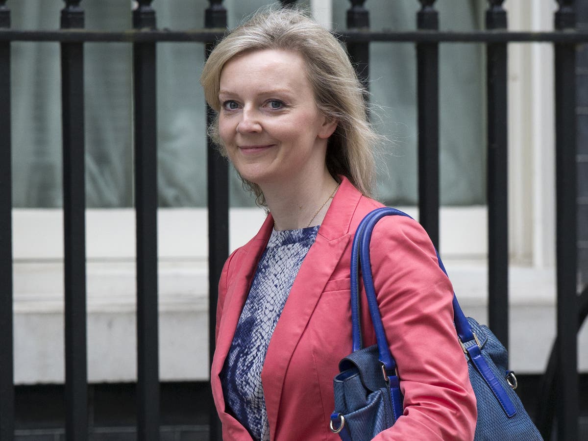 Liz Truss Mp The New Environment Secretary Her Clash With The Turnip 