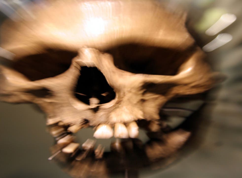 The skull (not pictured) could tell us more about life in the Stone Age 