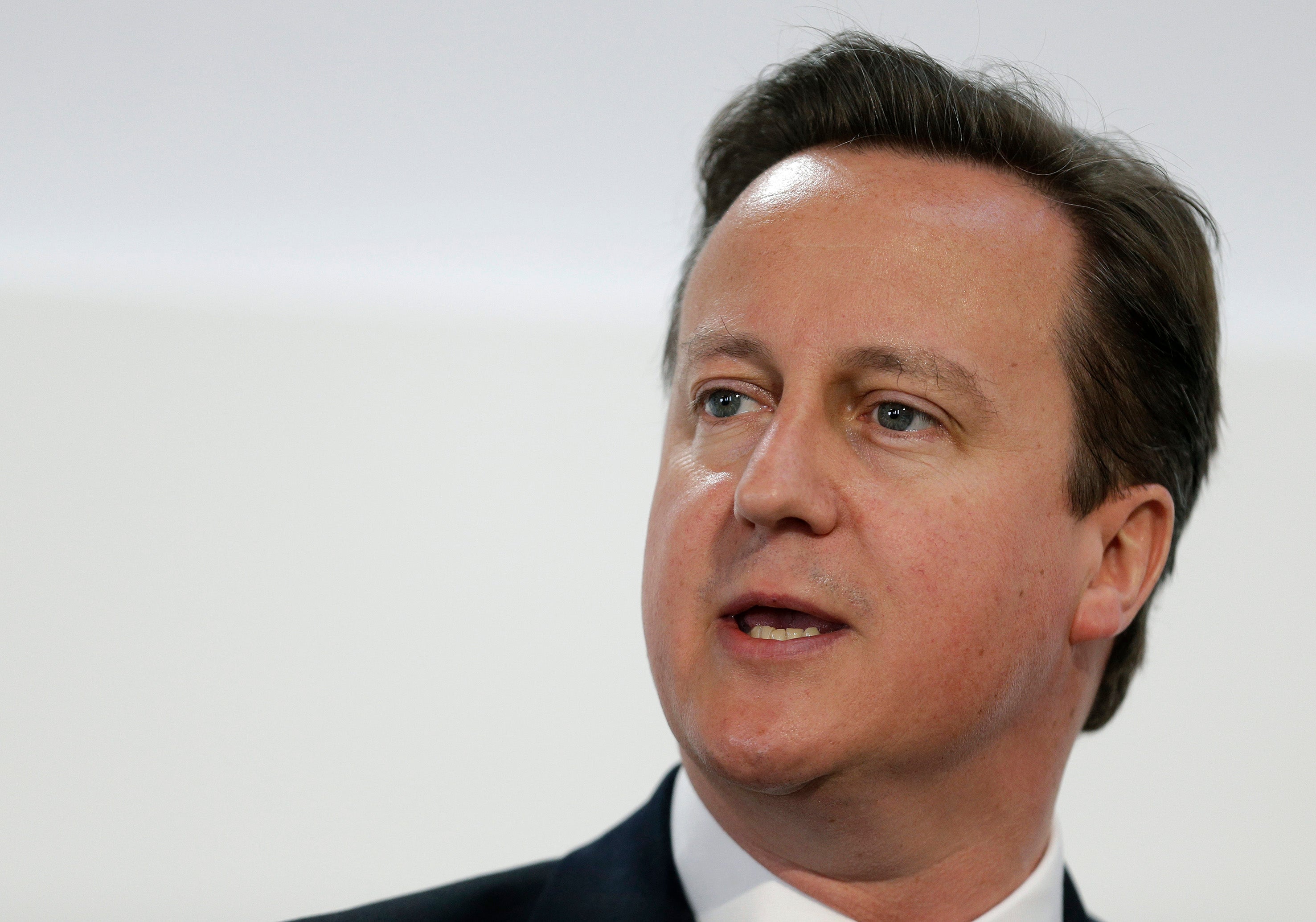 David Cameron has said he is "not convinced" by assisted dying bill