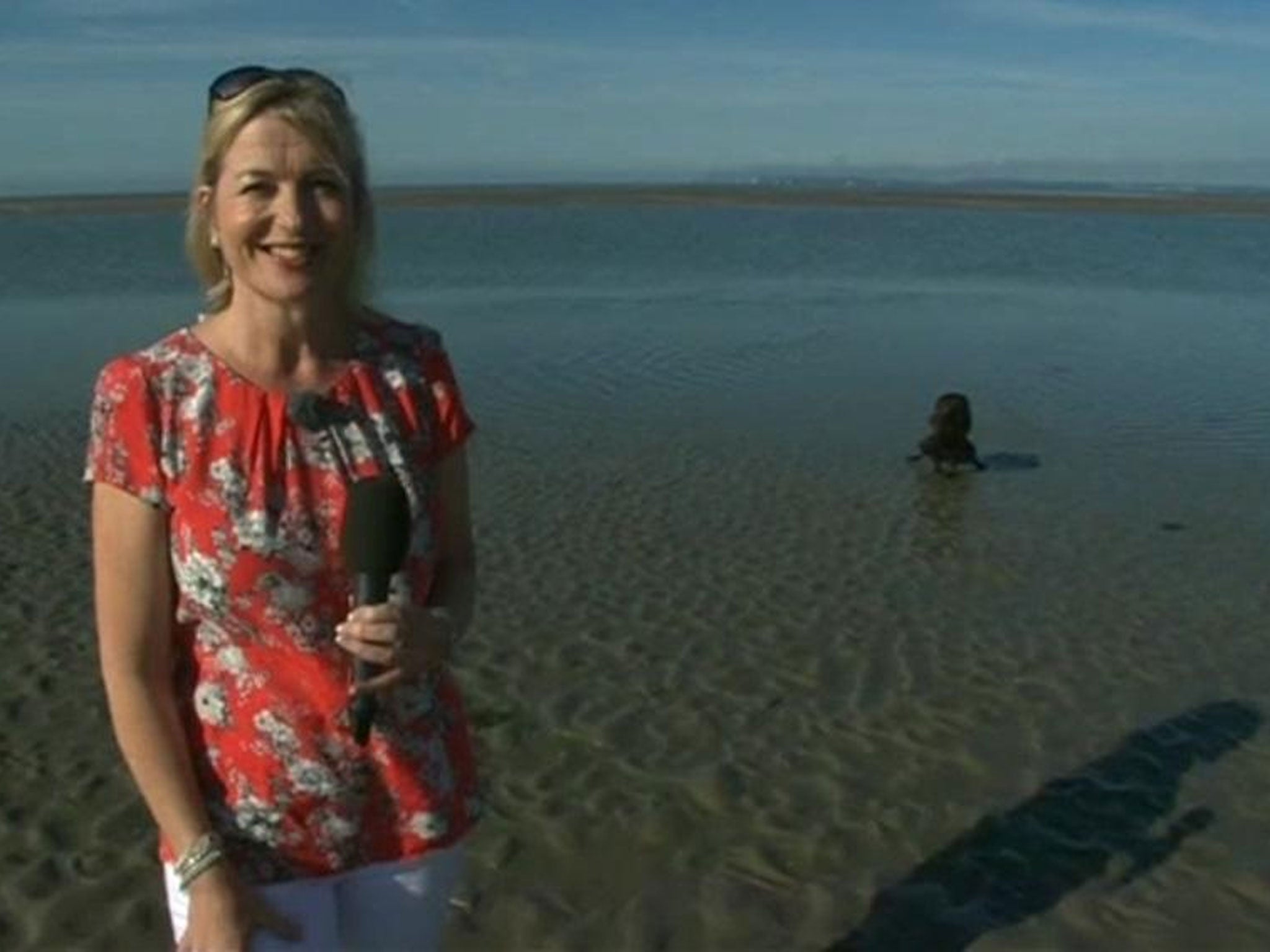 Carol Kirkwood and Connie, the offending animal