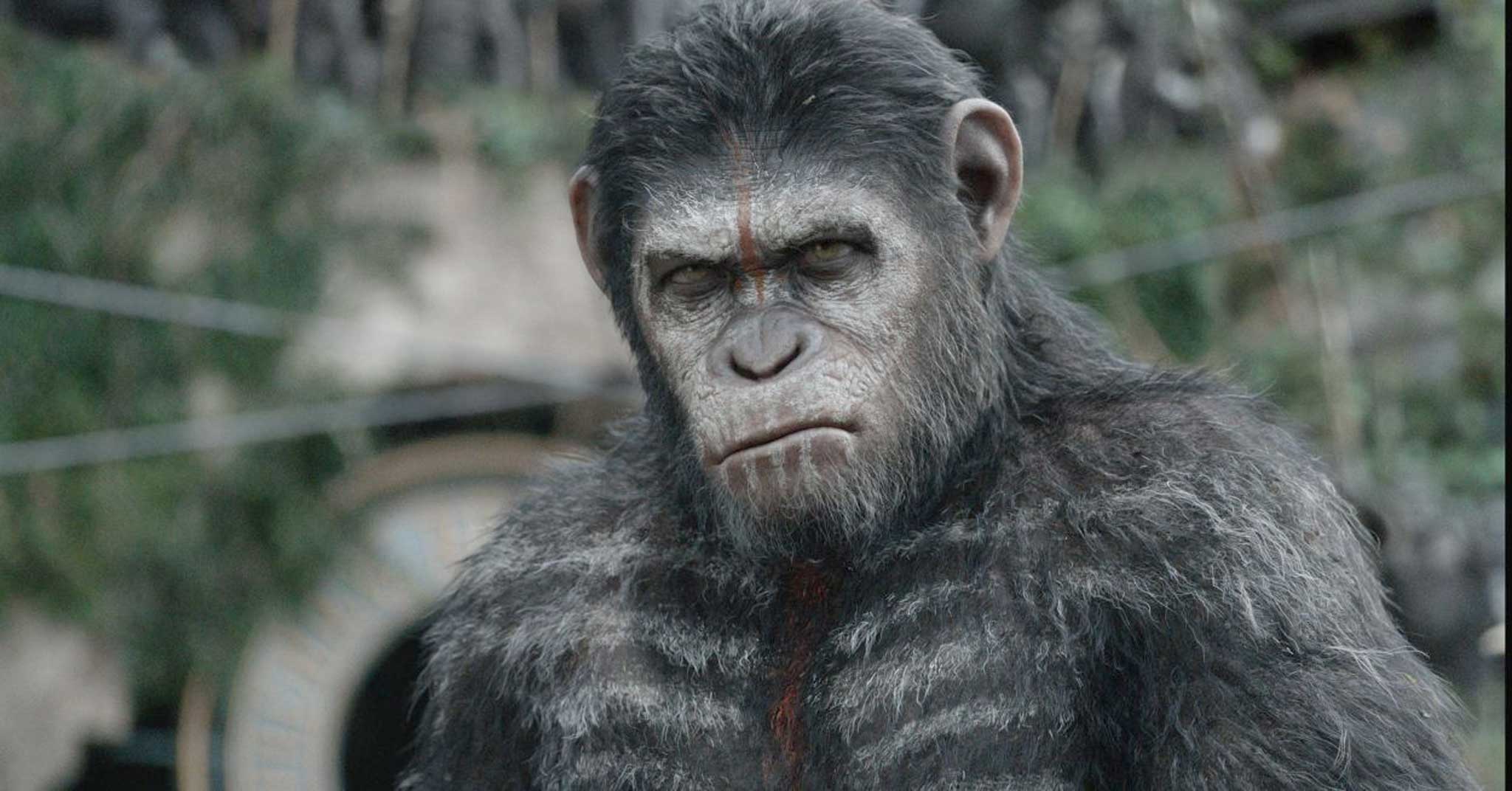 Great ape: Andy Serkis returns as Caesar