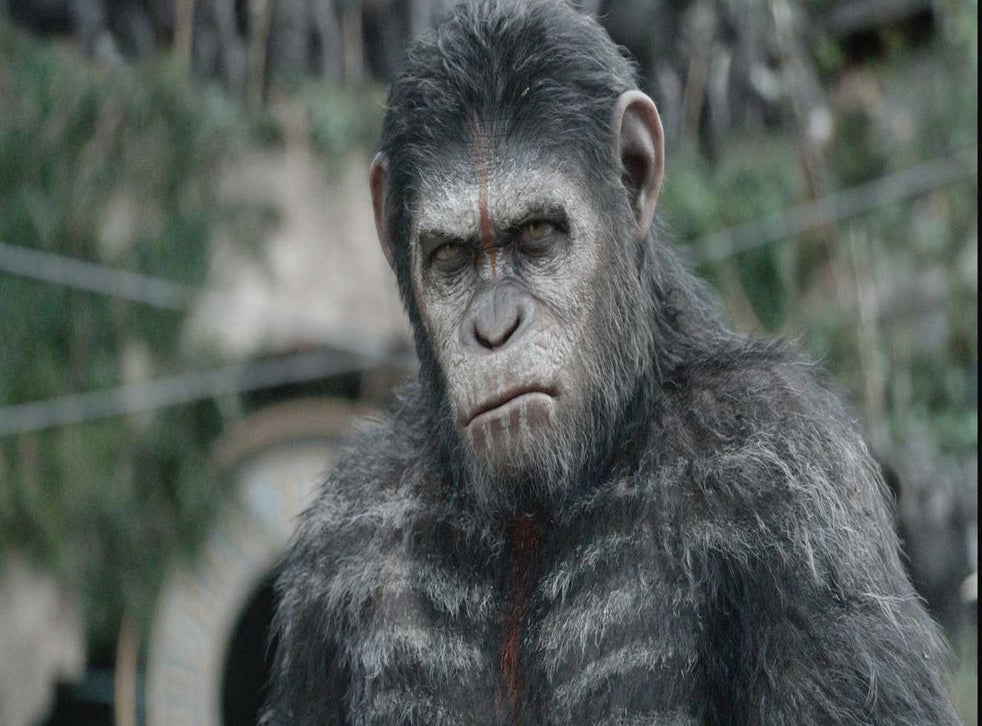 Dawn Of The Planet Of The Apes, film review: Super simians outshine ...