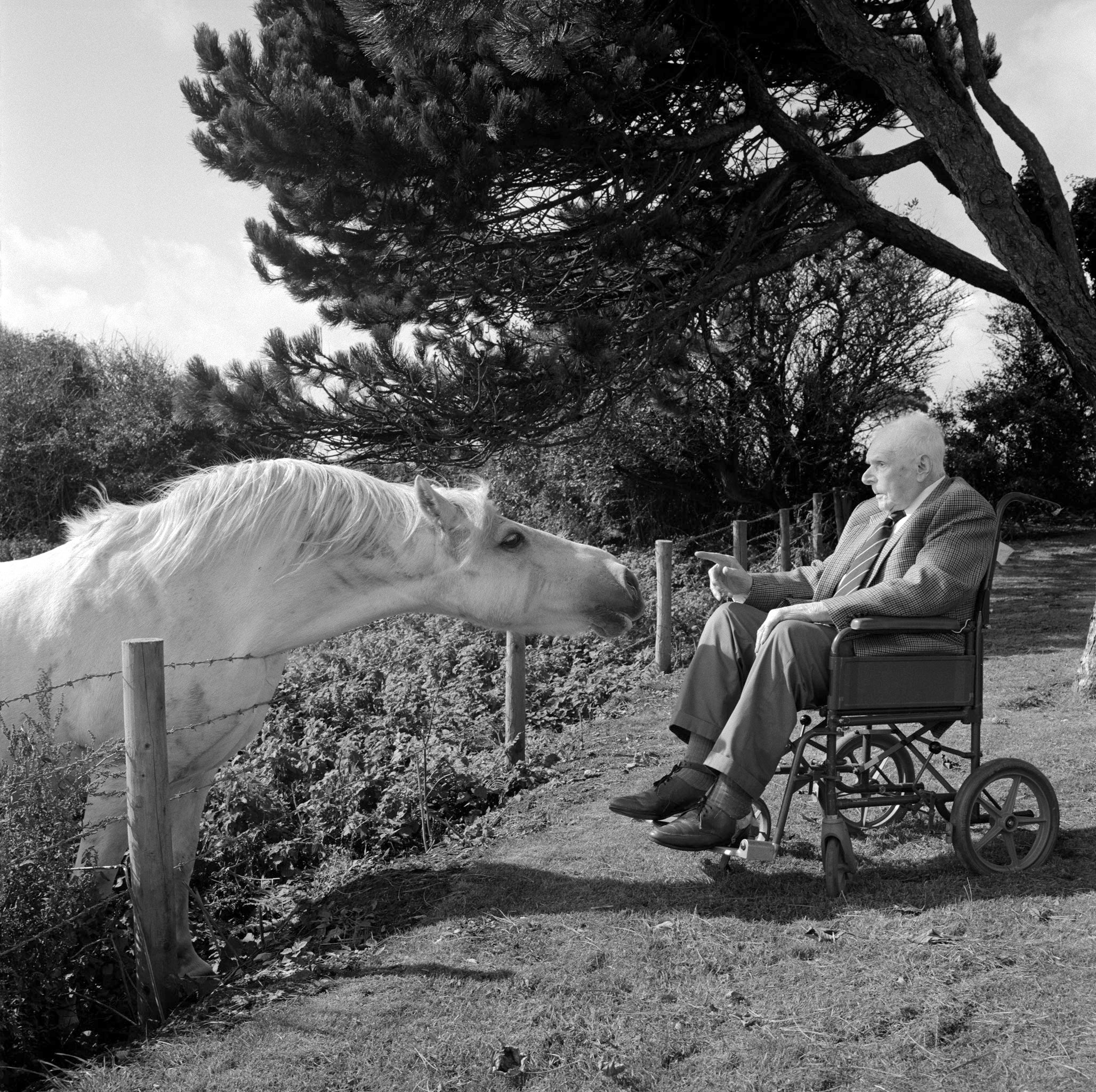 New: Country Life Archive (1897-2005) & Country Life Picture
