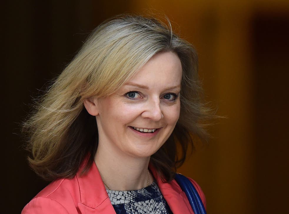 Liz Truss: Her name cropped up in every story about Tory A-list resistance