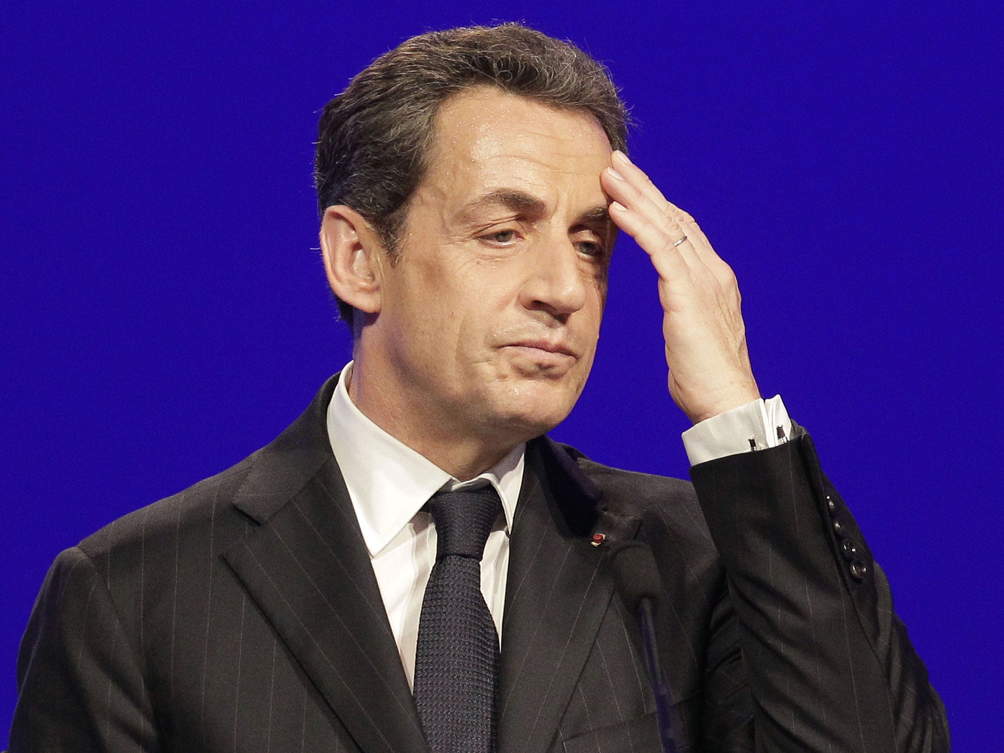 Two Labradors and a Chihuahua belonging to Nicolas Sarkozy and Carla Bruni-Sarkozy wreaked havoc in the Élysée Palace