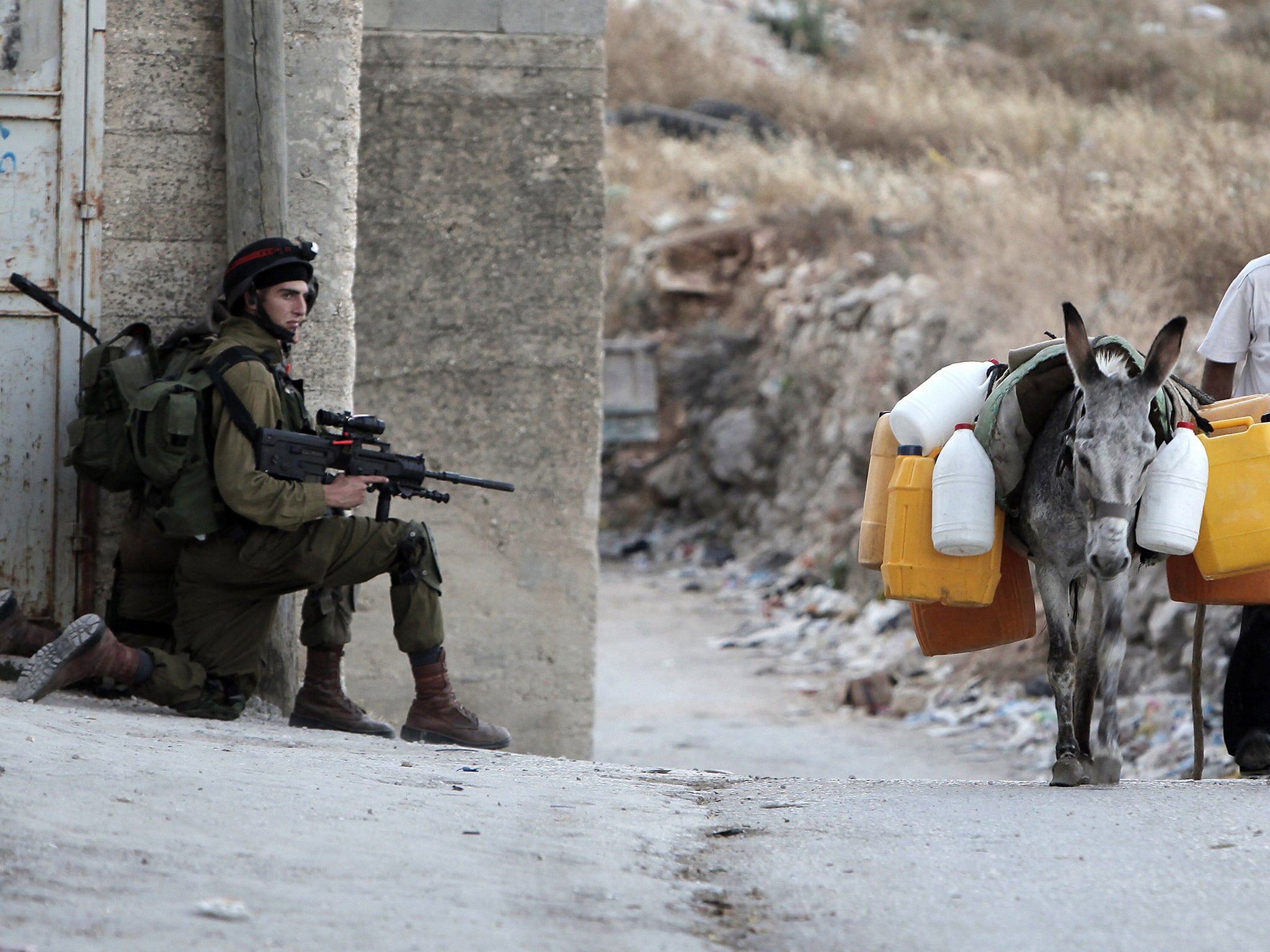 A donkey strapped with explosives was blown up after Israeli forces opened fire on the animal