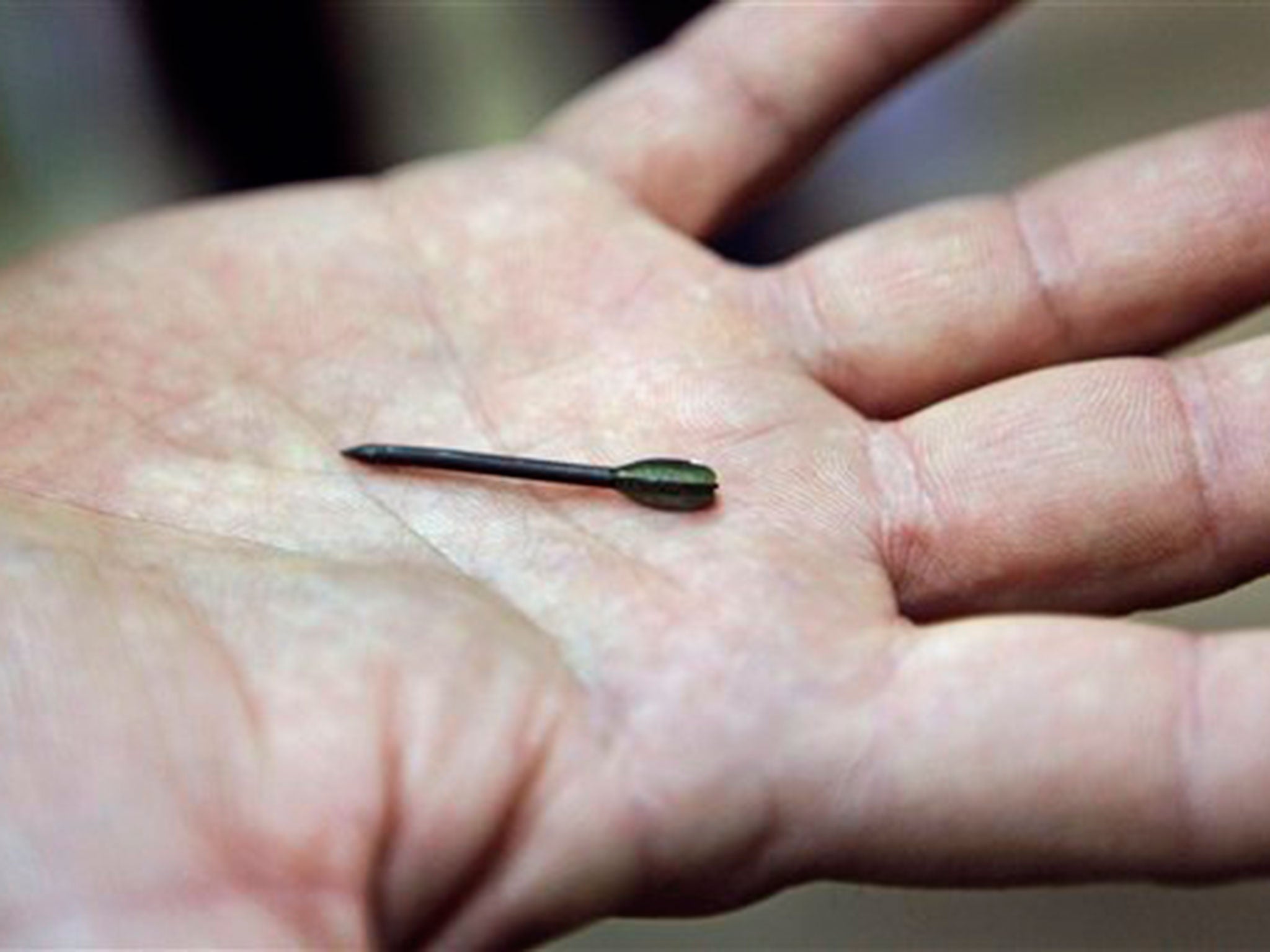 File: A small pointed metal dart known as a flechette, seen in the Gaza Strip in January 2009