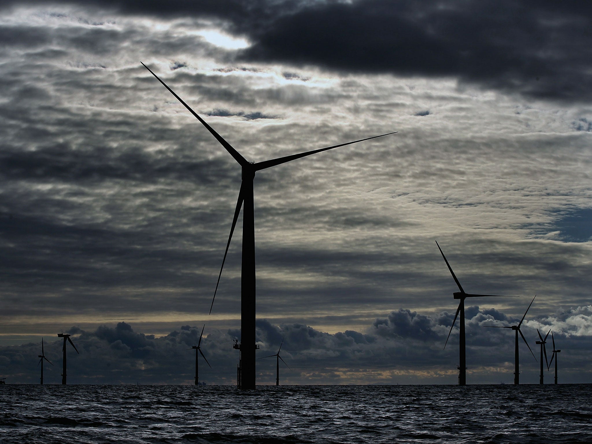 The turbines attract mussels and barnacles at their bases – which in turn attract predators
