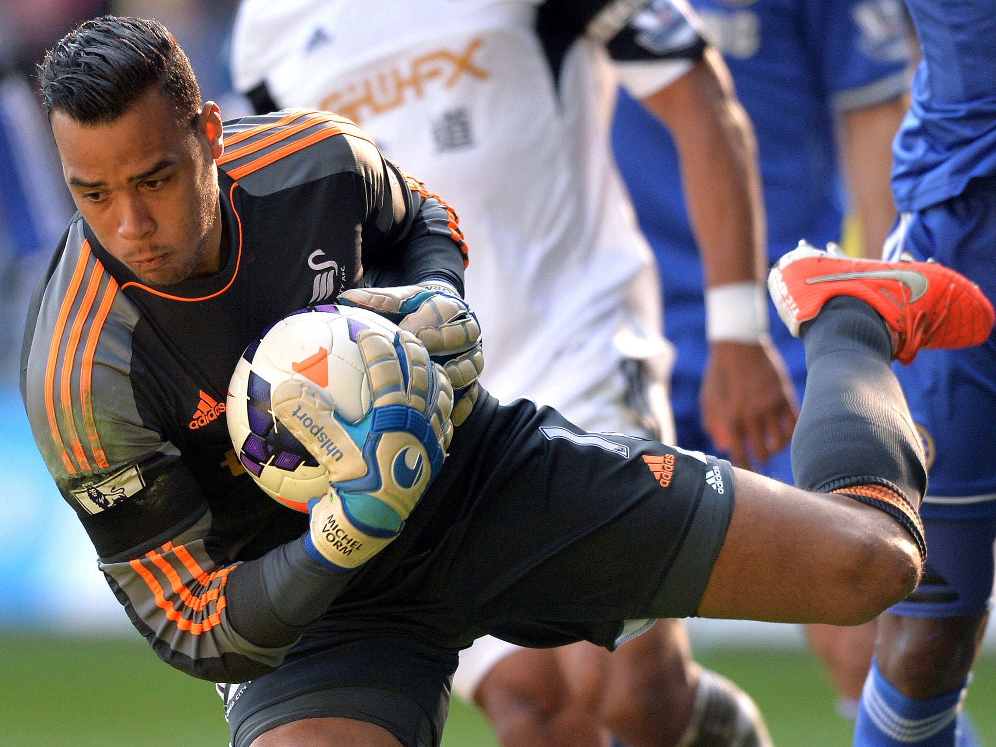Tottenham have agreed a fee for Swansea goalkeeper Michel Vorm, according to reports