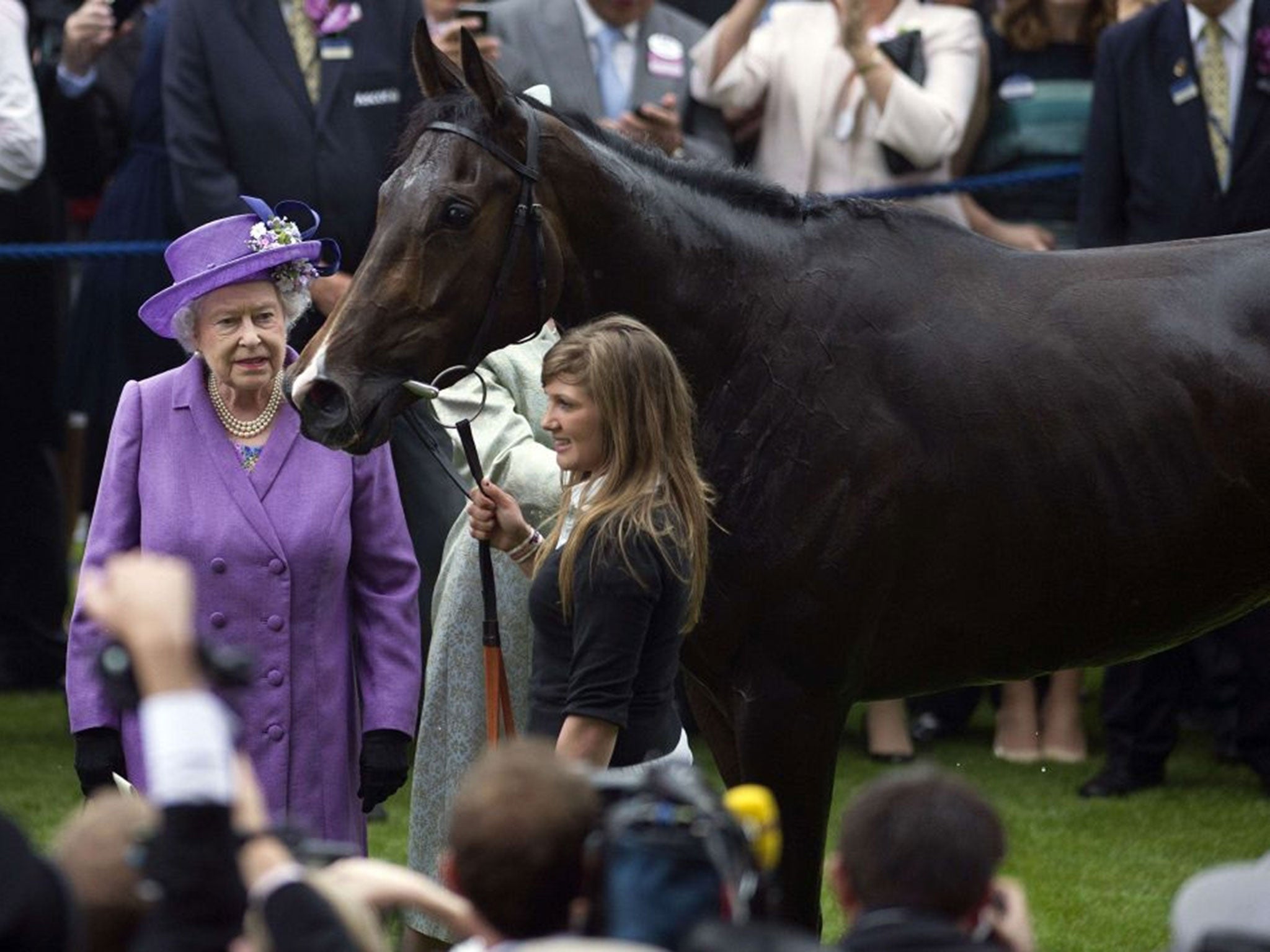 Queen Elizabeth II stands beside Estimate, in the winner's enclosure after it won the Gold Cup on the third day of Royal Ascot 2013, in Berkshire, west of London.