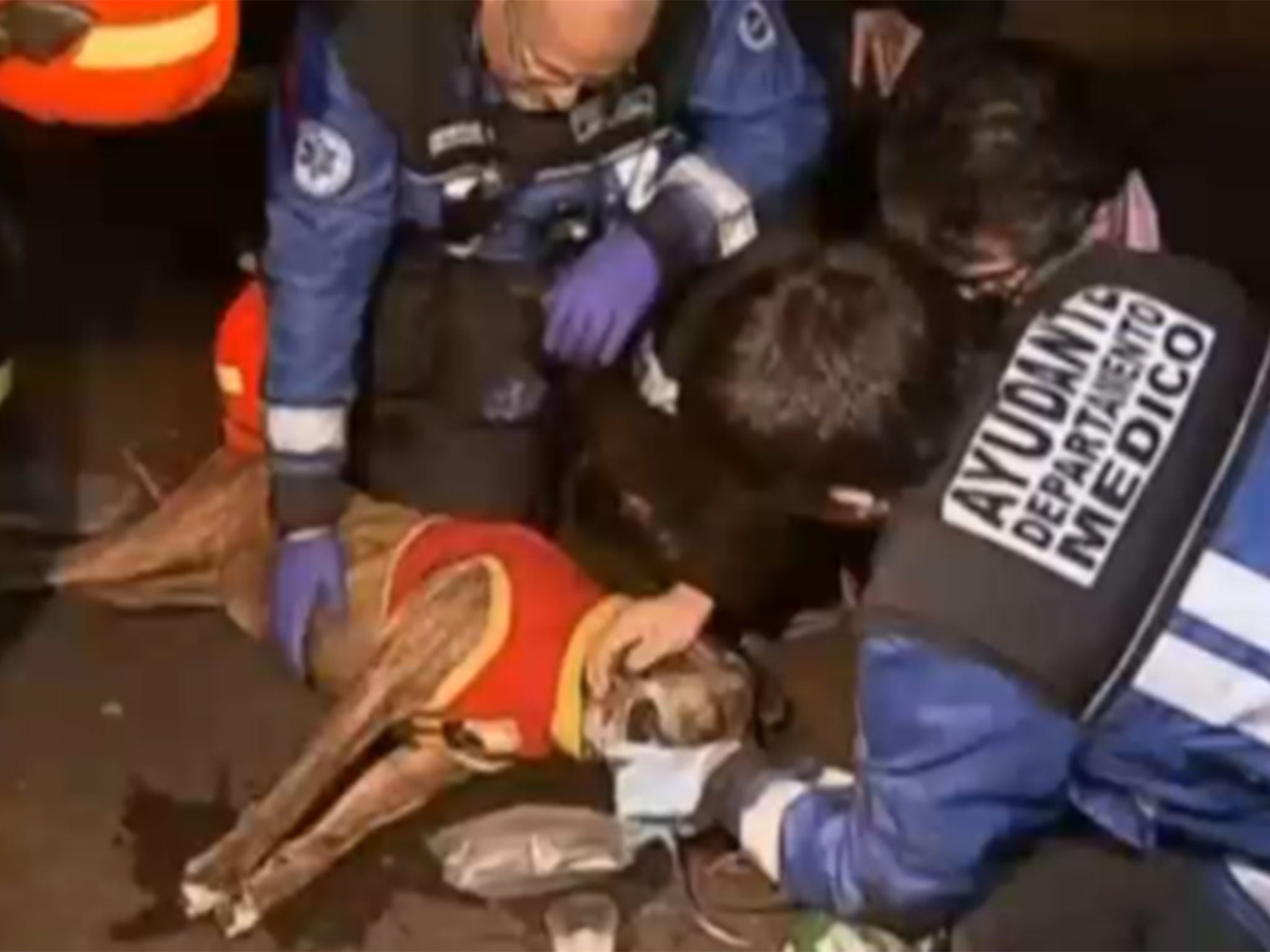 The dog is treated with an oxygen mask by medics