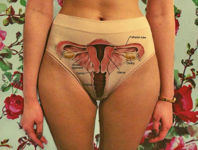 Feminist art student Eleanor Haswell has created a pair of anatomically correct undies
