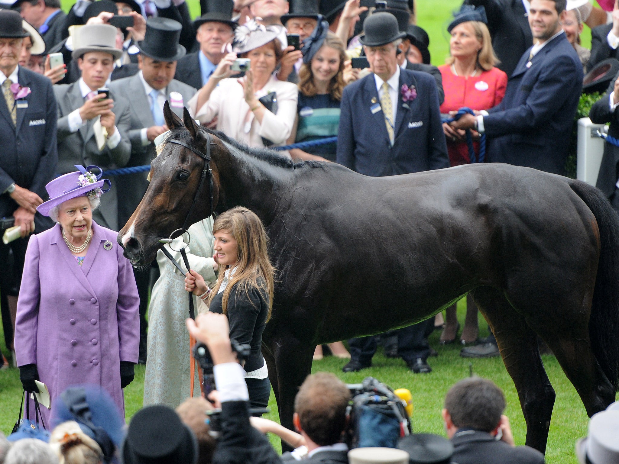 The Queen with Estimate after her Ascot Gold Cup victory