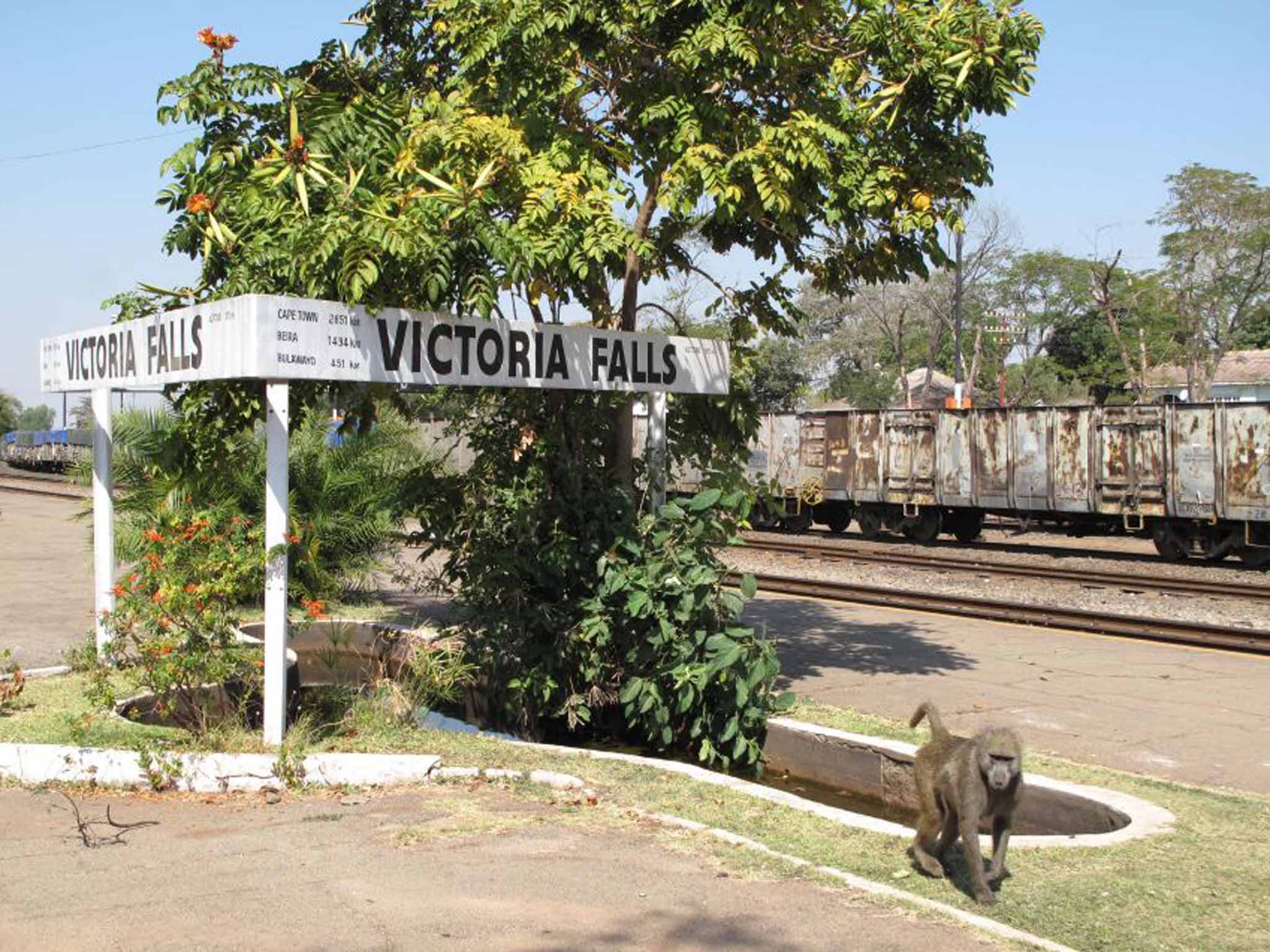 Monkeying around: Victoria Falls station