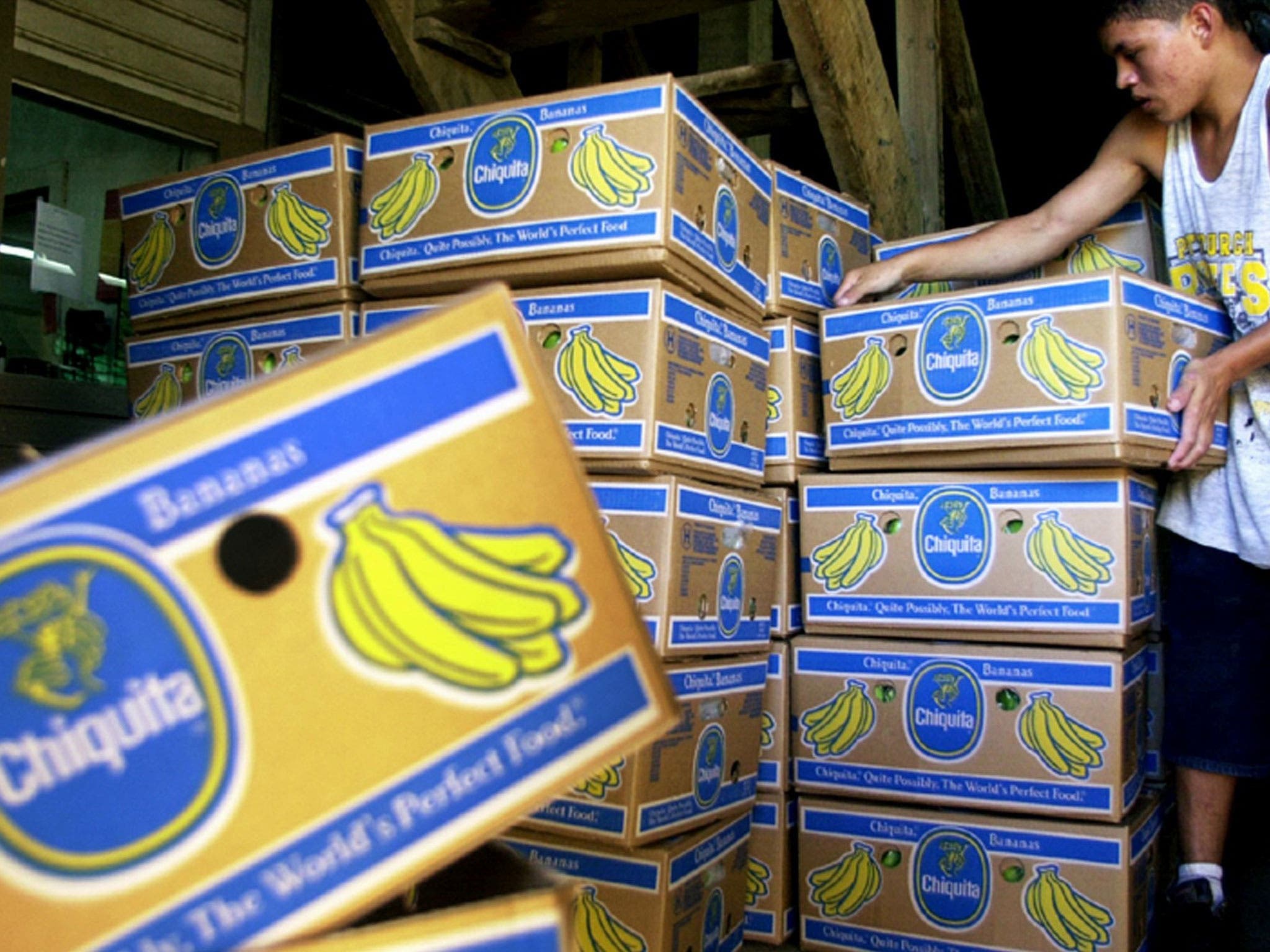 Chiquita Banana ordered to pay $38.3million for funding far-right paramilitary group in Colombia - Vimarsana News