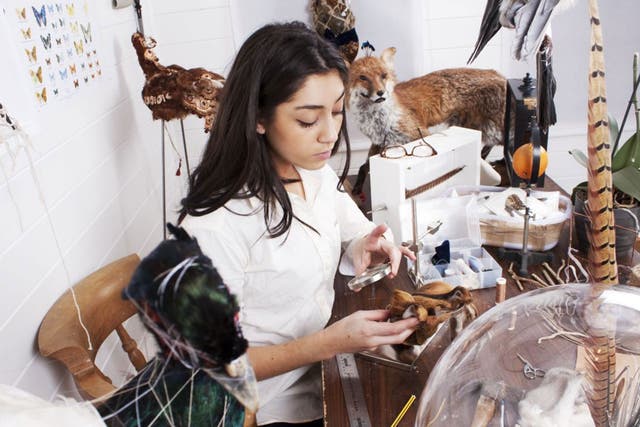 Elle Kaye demonstrates the art of taxidermy