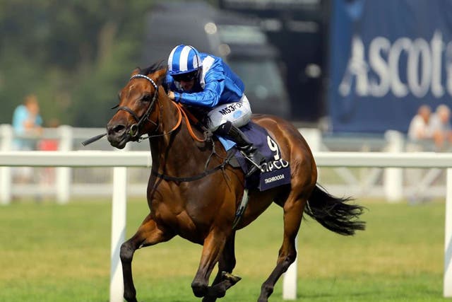 In control: Taghrooda leaves a strong field in her wake in the King George 