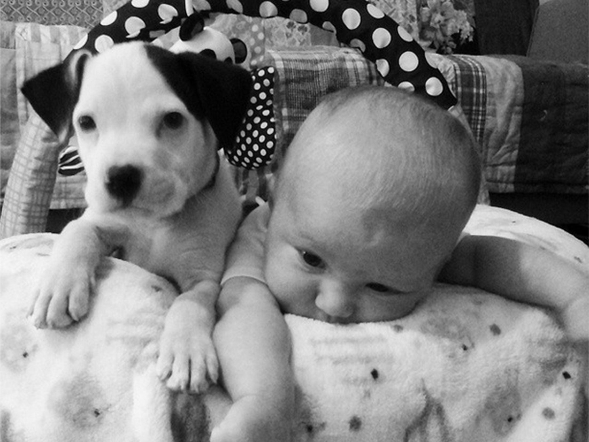 Baby Eisleigh and puppy Clyde hanging out together at home