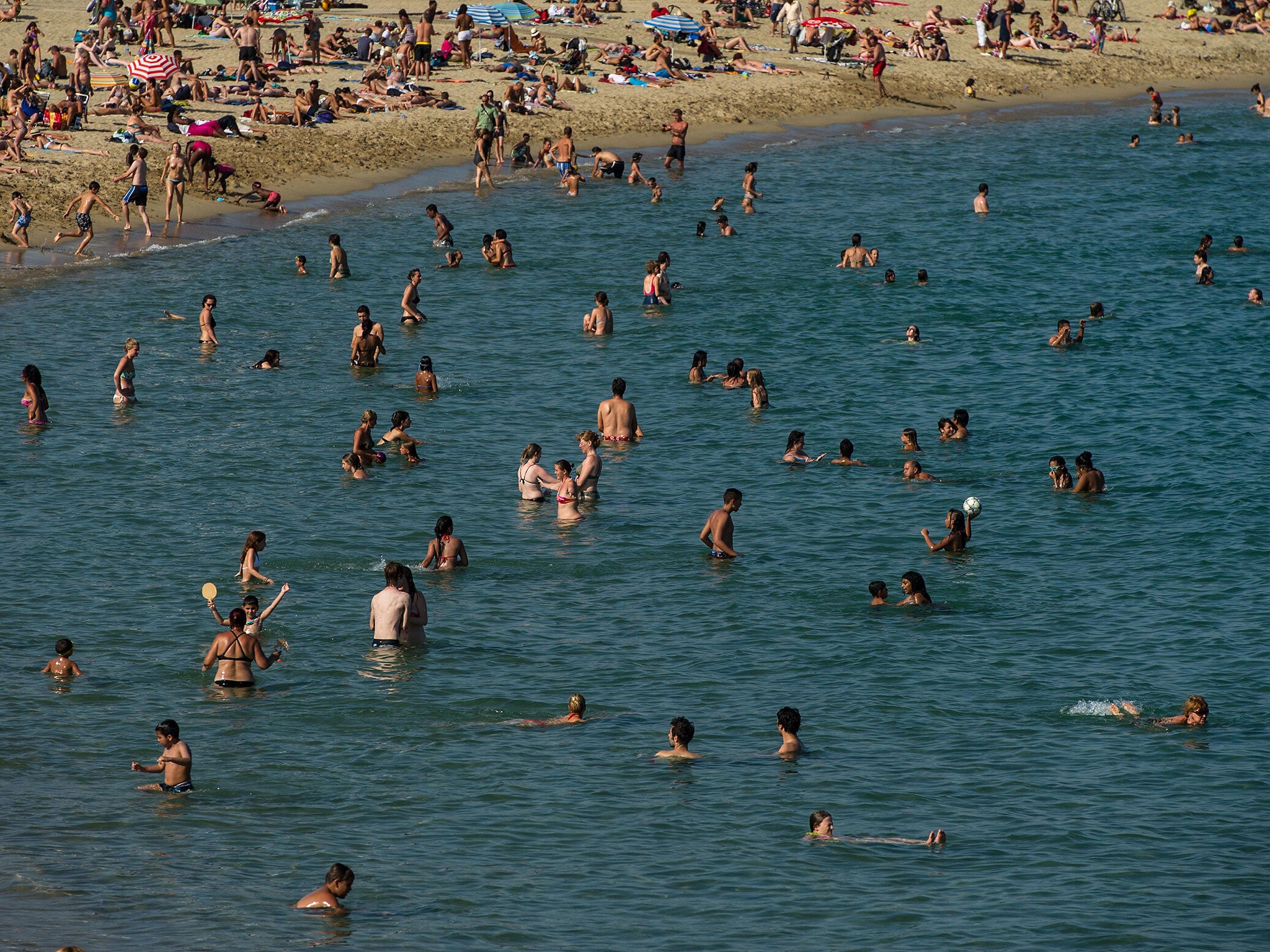 Swimmers warned after shark sightings in France and Spain The Independent The Independent photo