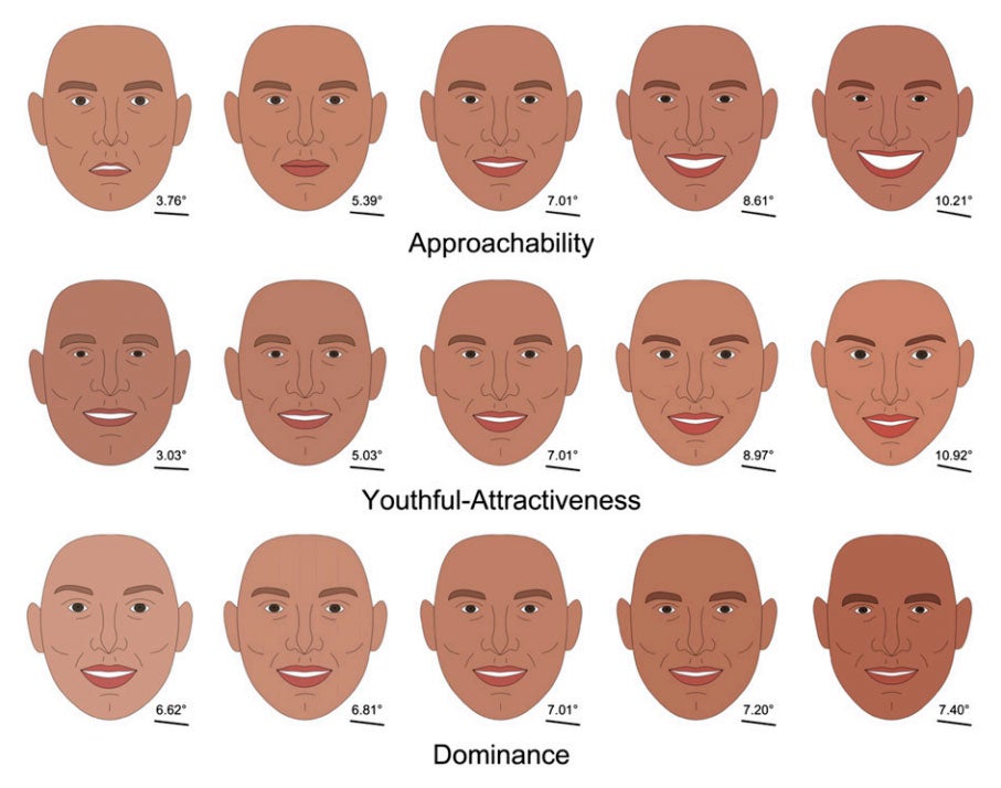 Why High Cheekbones Are Considered More Attractive