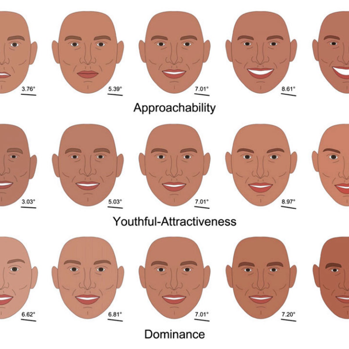 Low Cheekbones vs. High Cheekbones: How to Locate and Modify