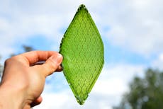 First man-made leaves could help astronauts breathe