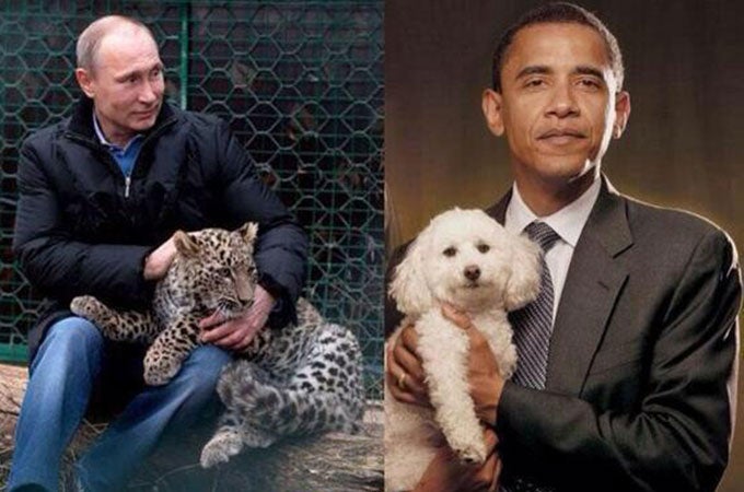 The Russian deputy prime minister tweeted a rather bizarre picture comparing the masculinity of Vladimir Putin, petting a leopard, and Barack Obama, holding a fluffy poodle