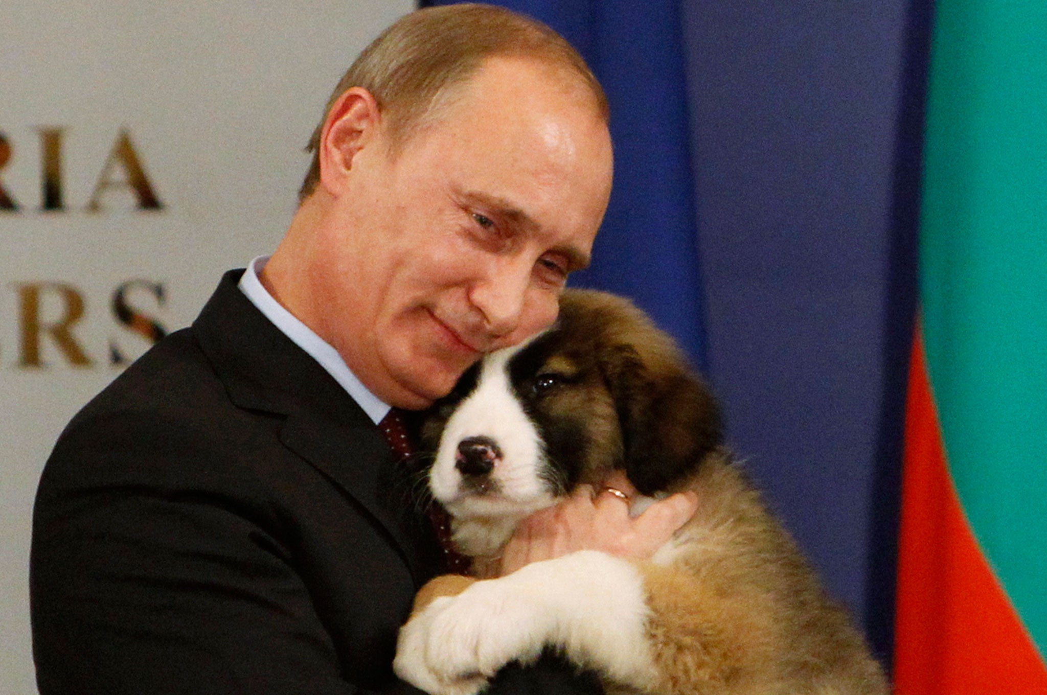 Vladimir Putin hugs a Bulgarian shepherd dog, after receiving it as a present from Bulgaria's Prime Minister Boiko Borisov