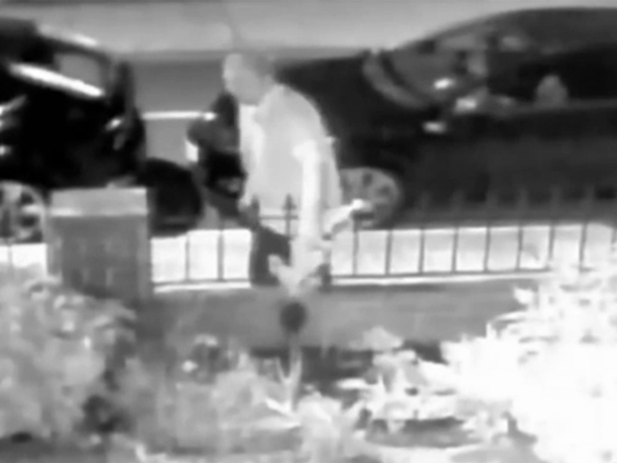 A still from CCTV footage showing a man yank plants from a garden at 2am