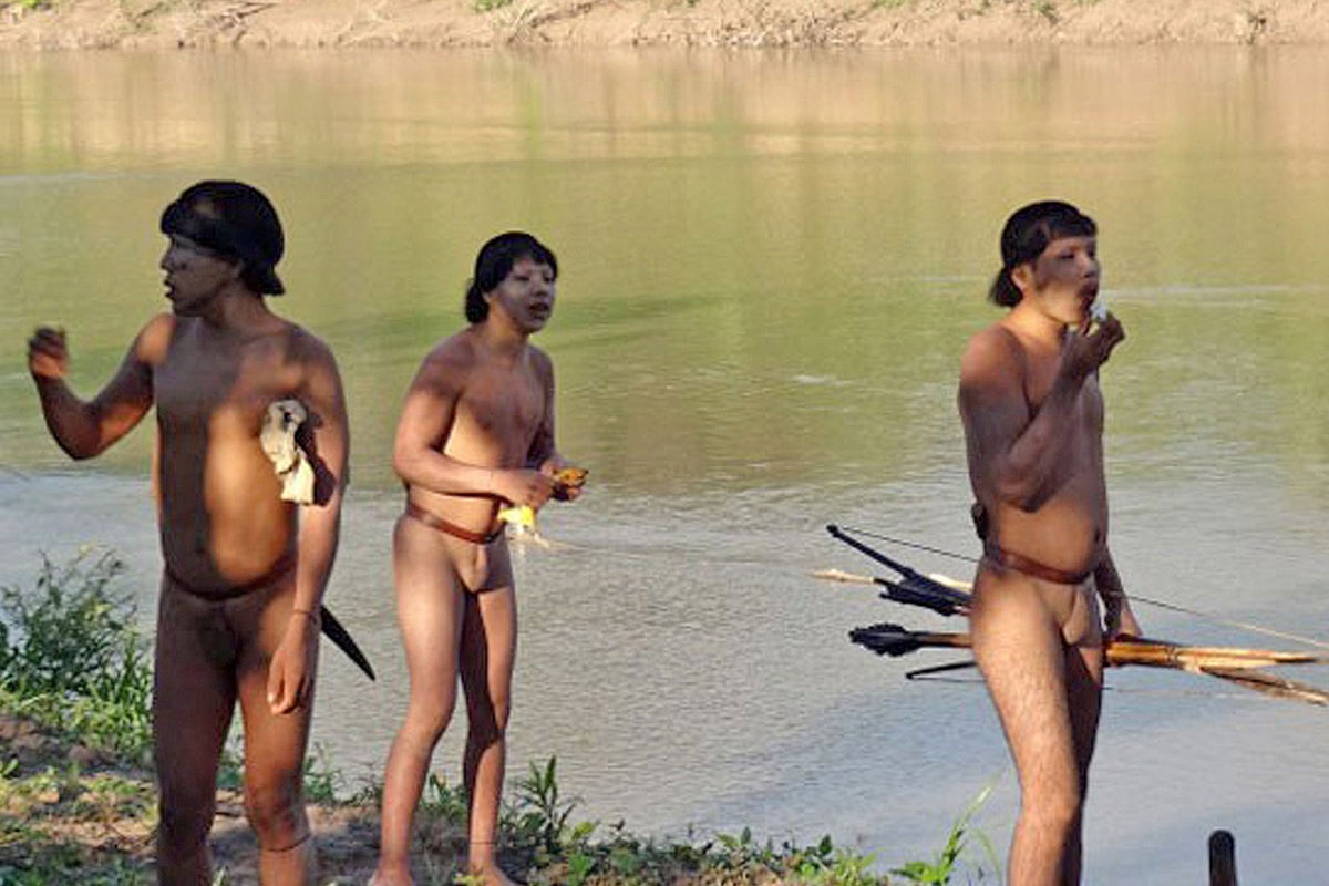 nude amazon tribe Remarkable video shows first contact between Amazon tribes and Brazilian  government | The Independent | The Independent