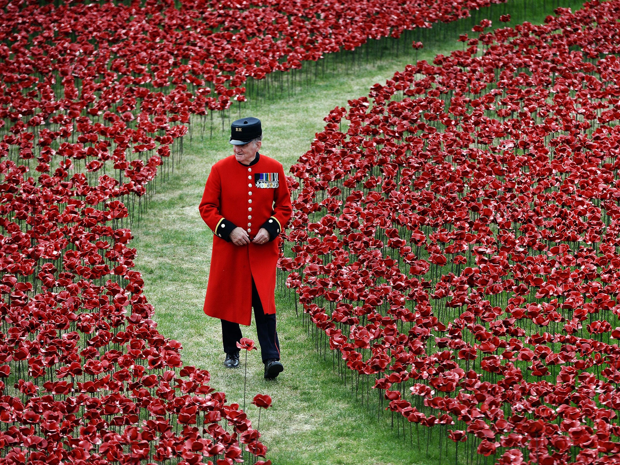 A Chelsea Pensioner walks among red poppies at the Tower of London’s moat yesterday