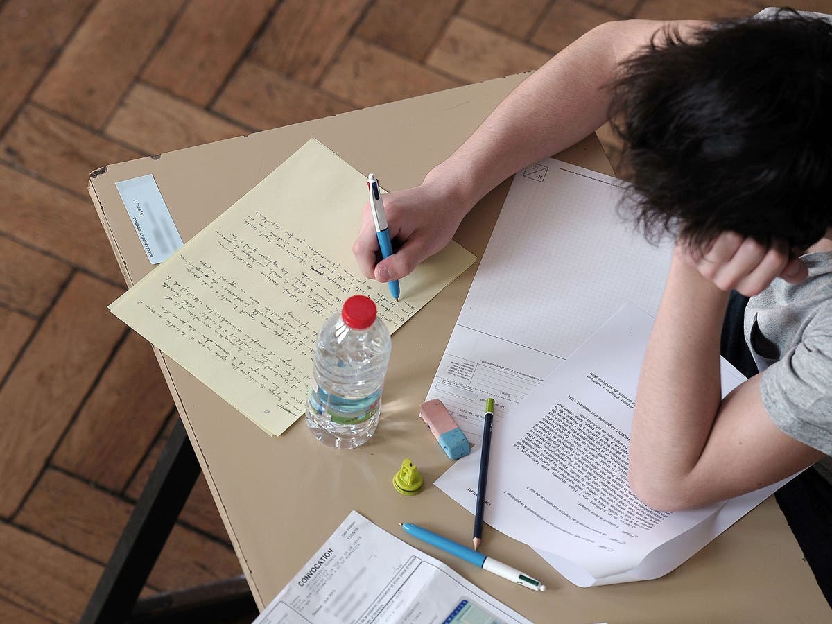 Growing concerns essay 05 image