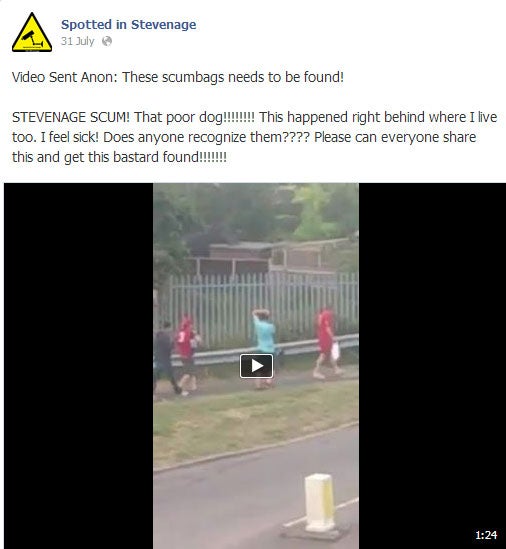 The initial post by Spotted in Stevenage on 31 July