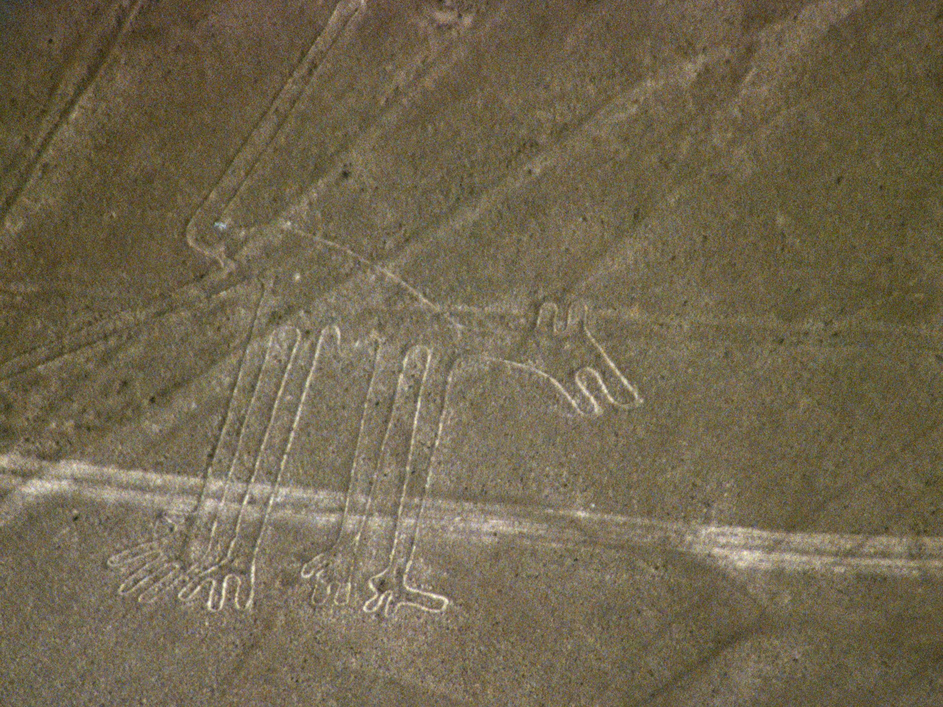 "The dog" geoglyph in the Nazca Lines