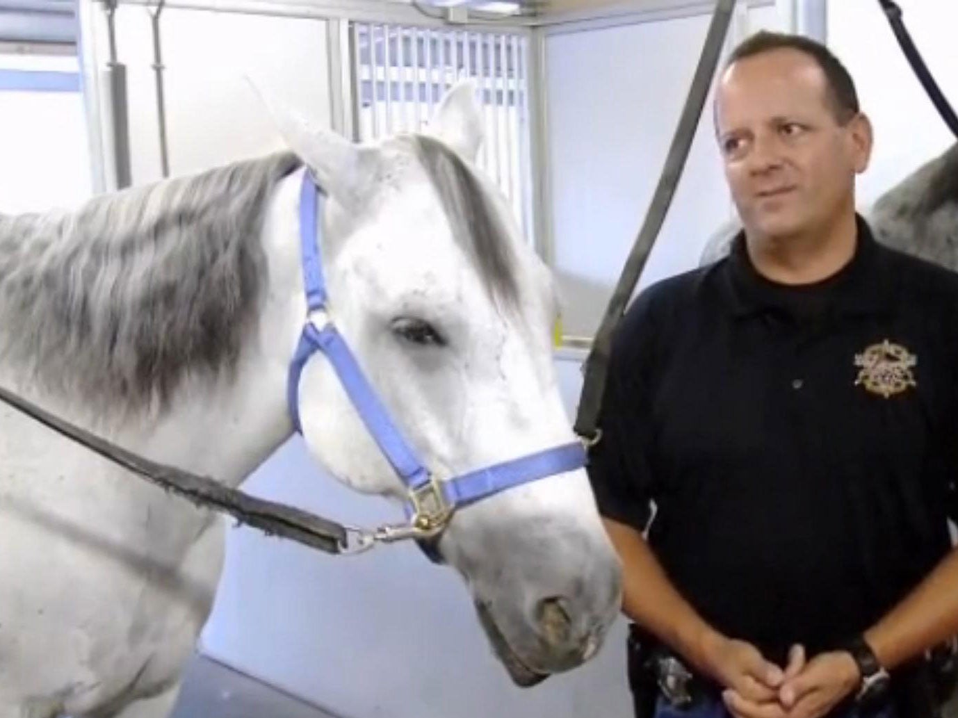 Edward Chrisman with Greyhawk the horse. Picture: KTVK-TV
