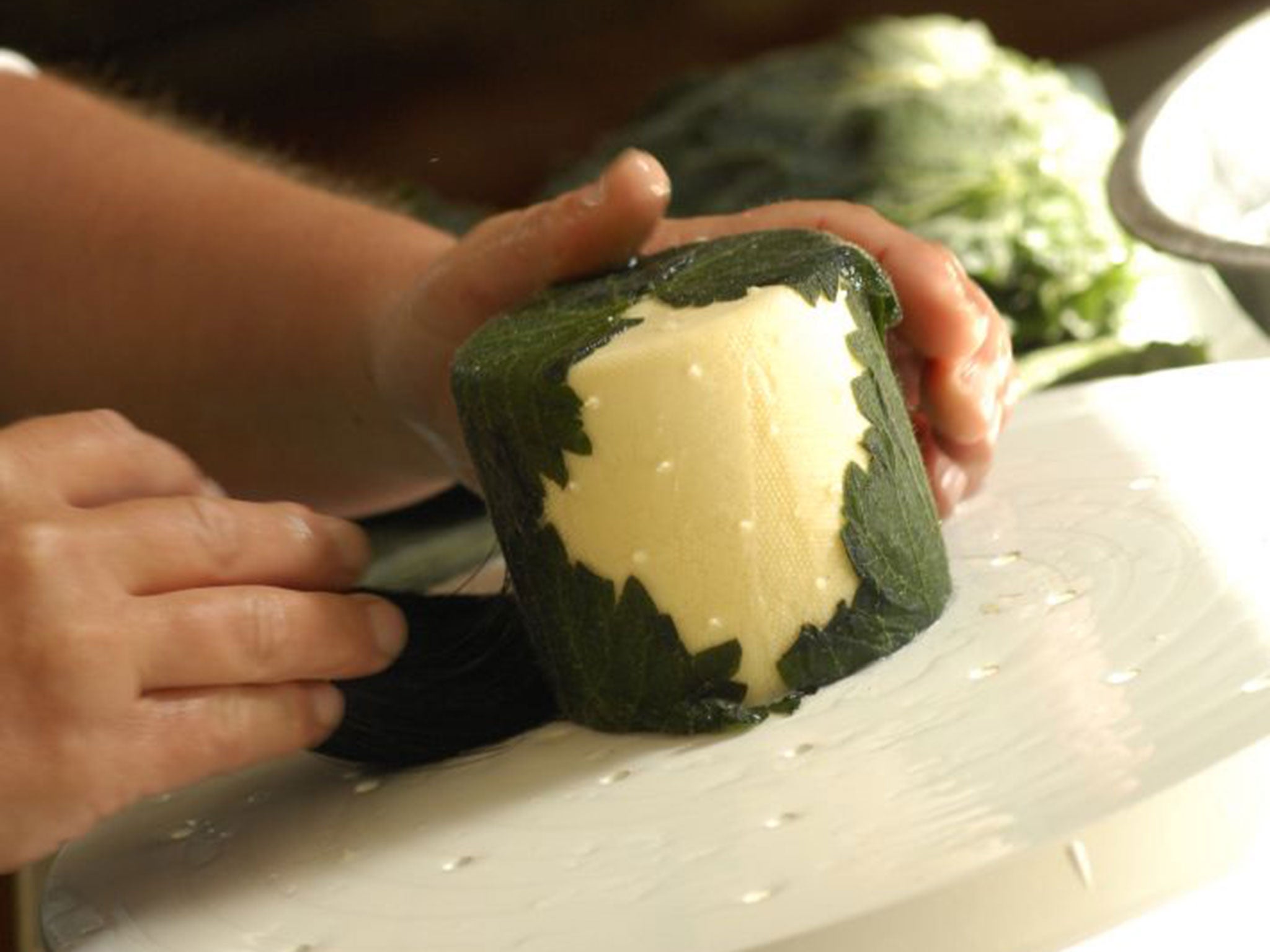 Whey to go: Yarg cheese is covered in mouldy stinging nettles, but has finally made it into the US