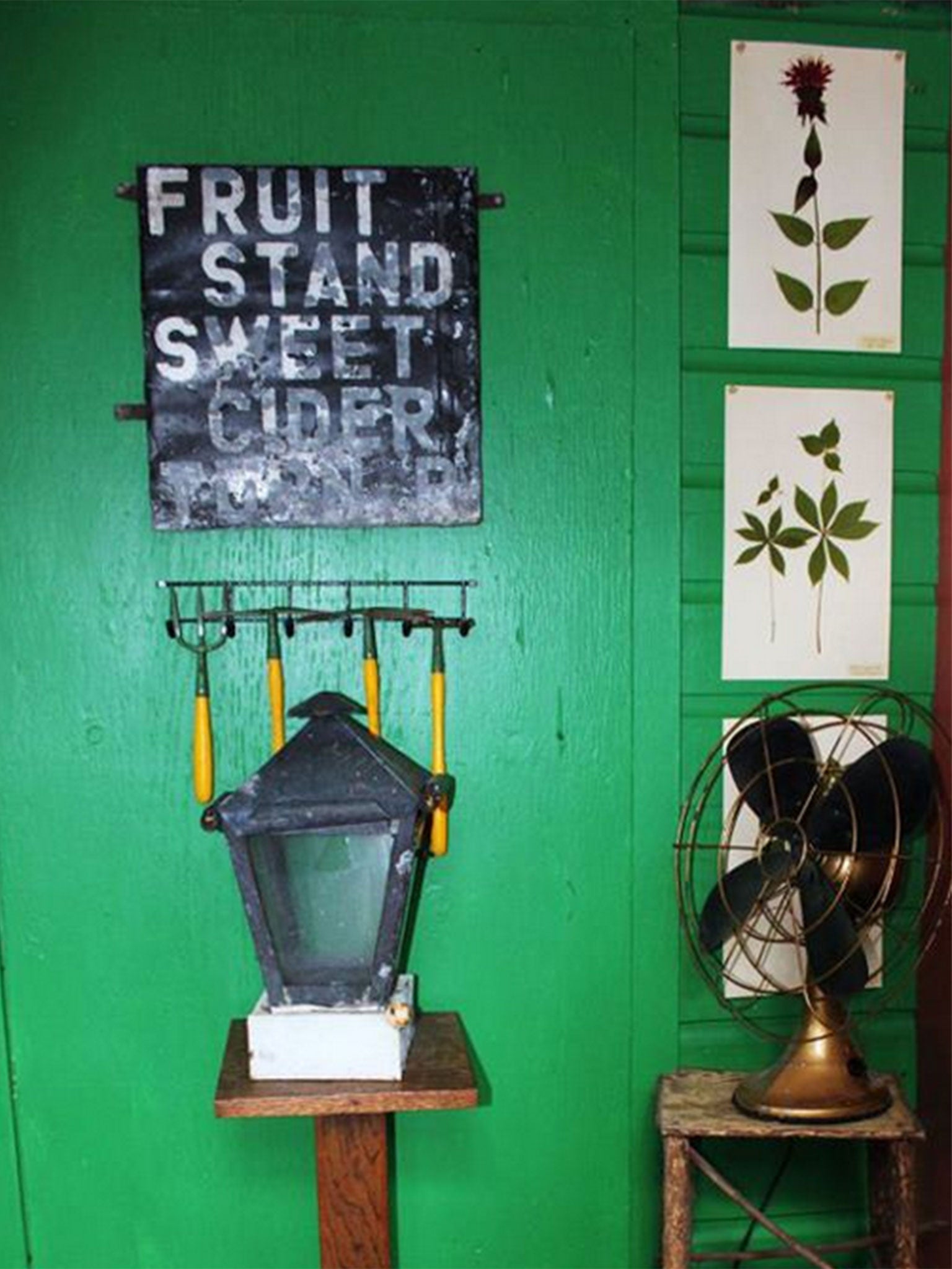 Vintage-looking objects on display at the Union Street Guest House